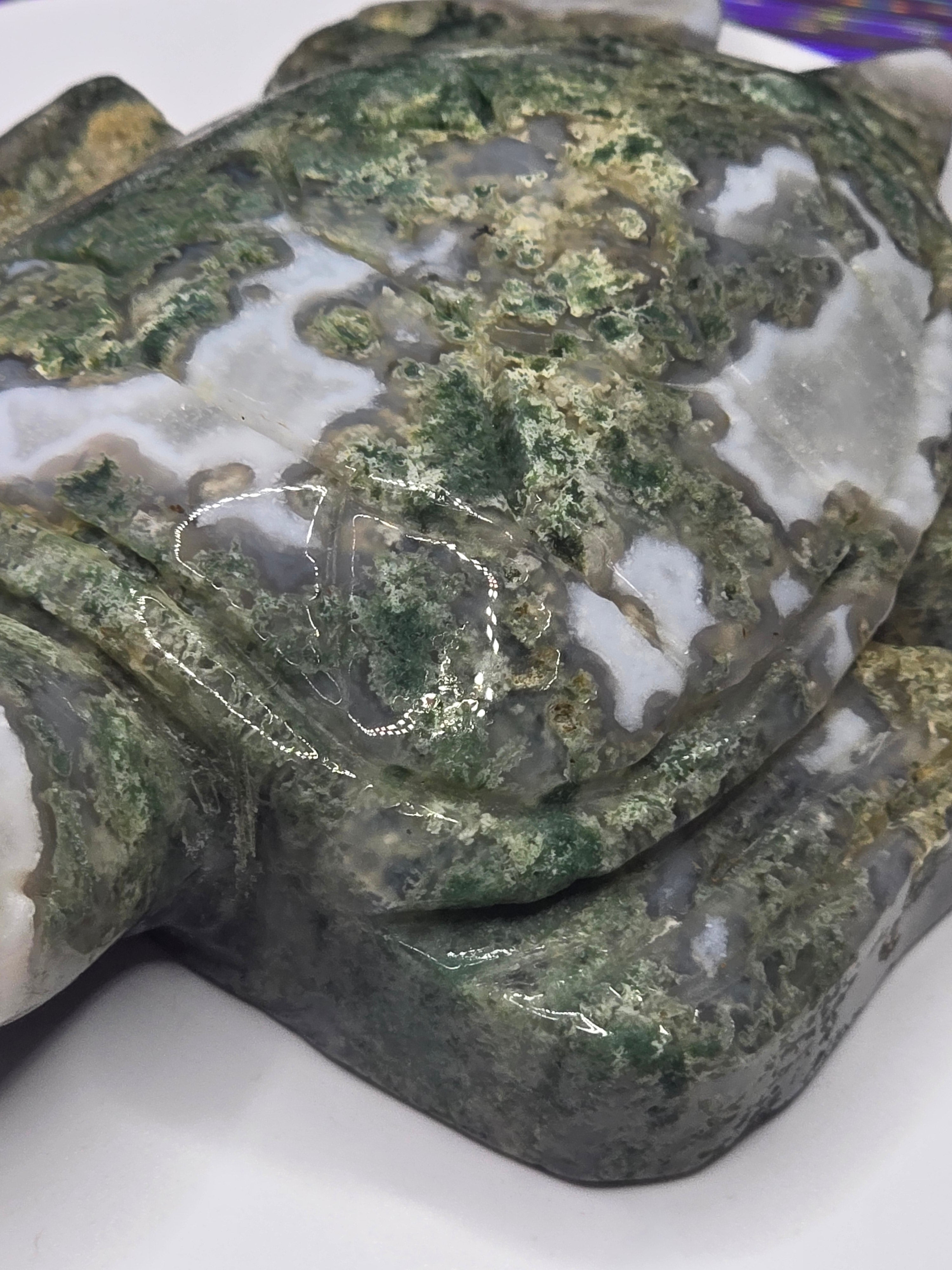 Large Moss Agate Turtle