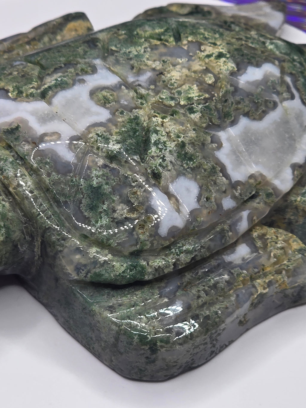 Large Moss Agate Turtle
