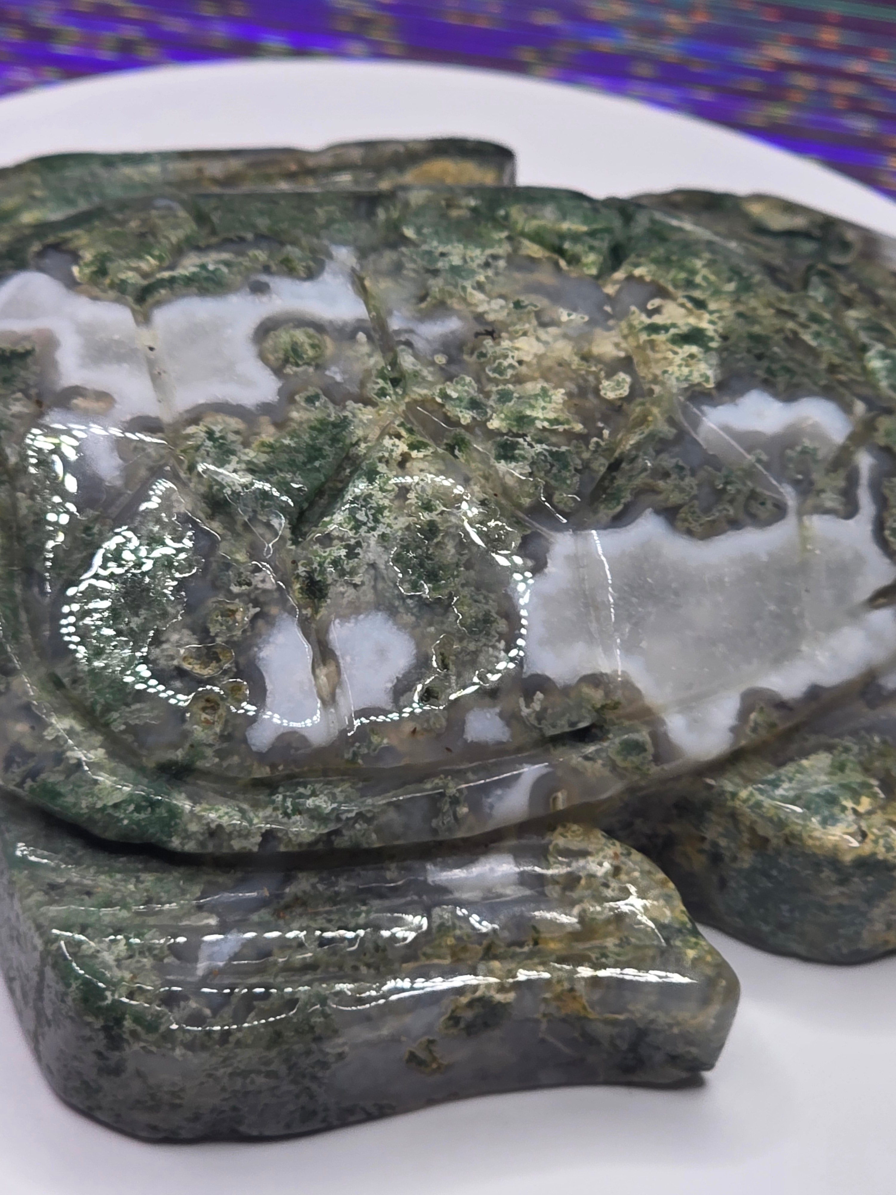 Large Moss Agate Turtle