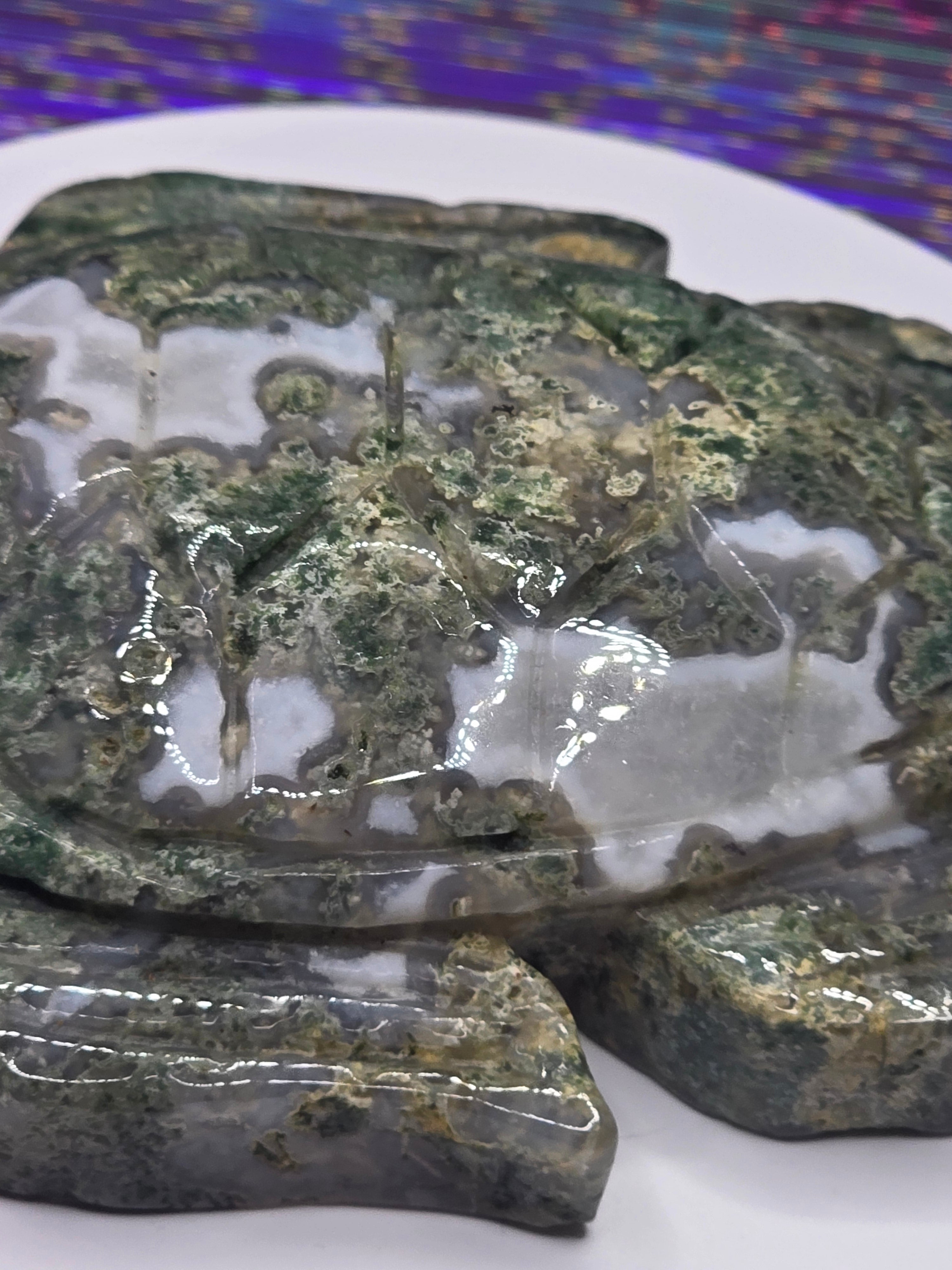 Large Moss Agate Turtle