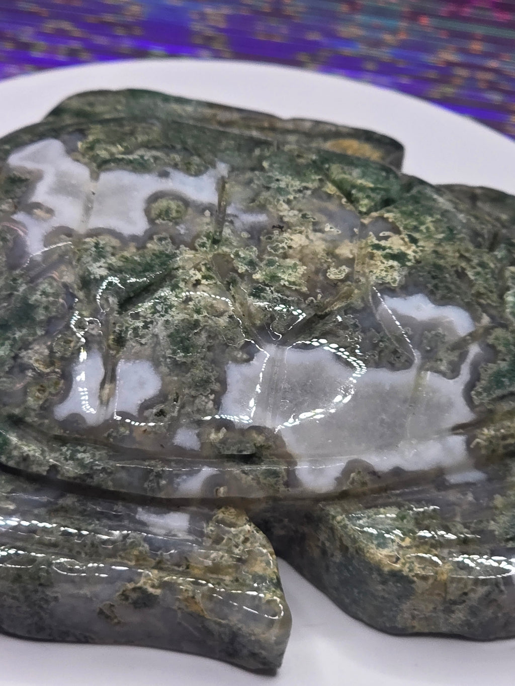 Large Moss Agate Turtle