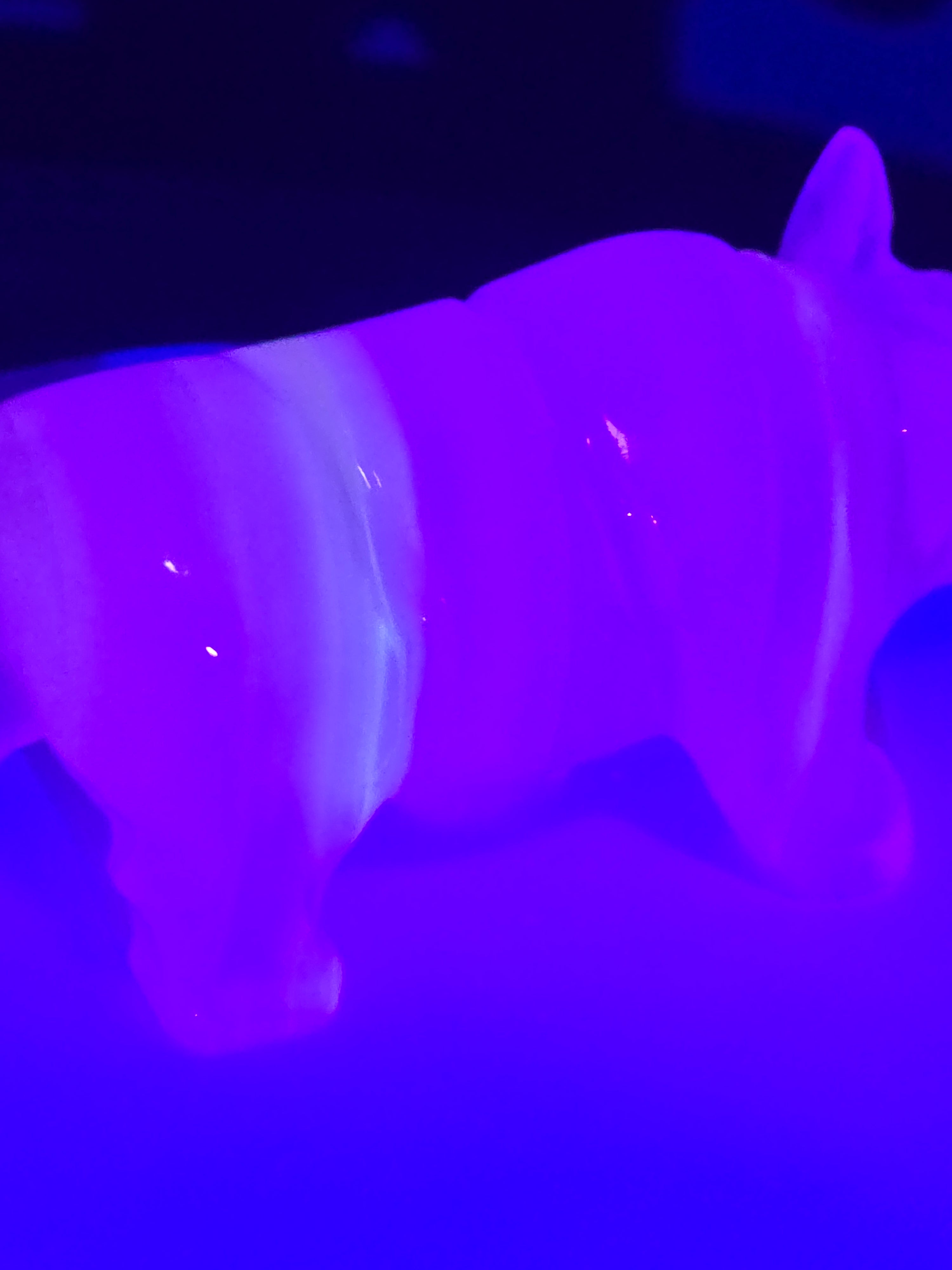 Vintage Onyx Rhino