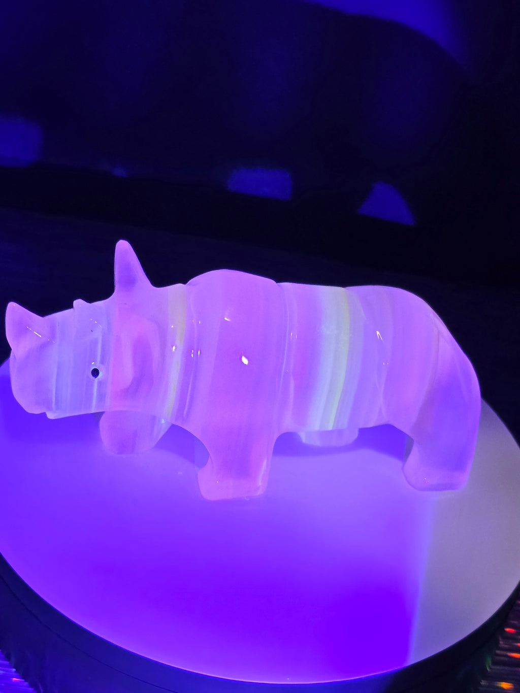 Vintage Onyx Rhino