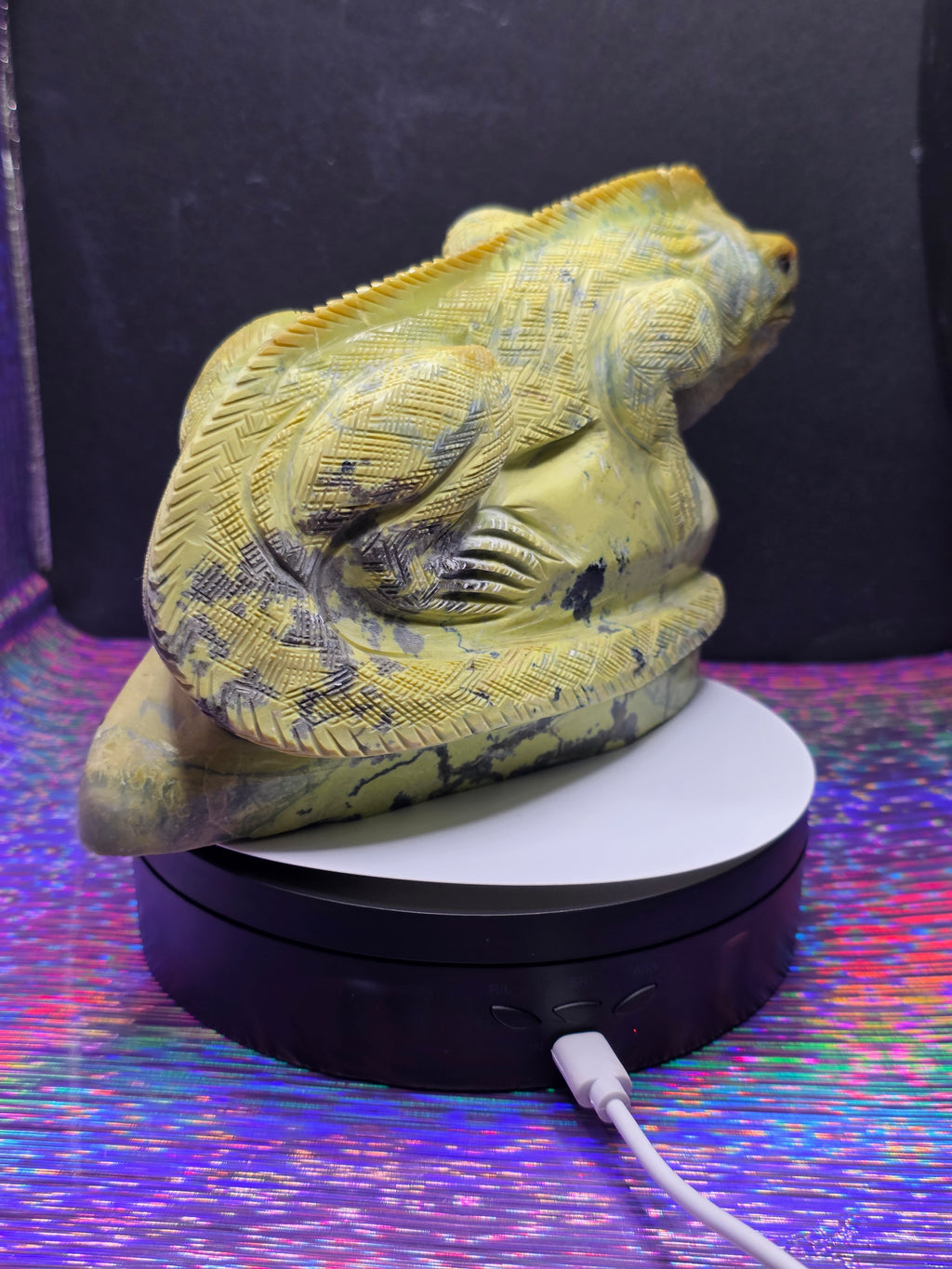 Large Serpentine Lizard