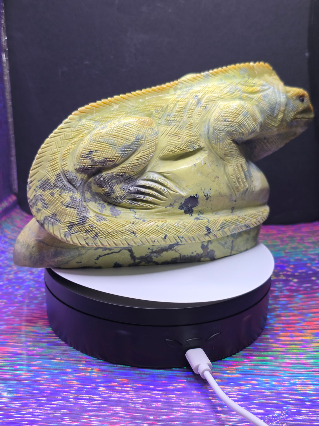 Large Serpentine Lizard