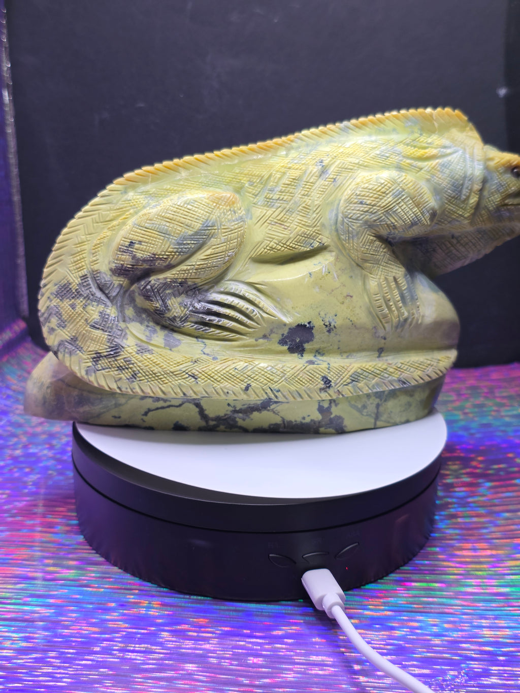 Large Serpentine Lizard