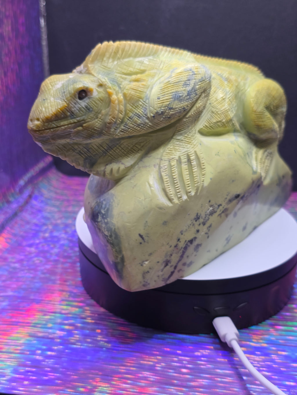 Large Serpentine Lizard