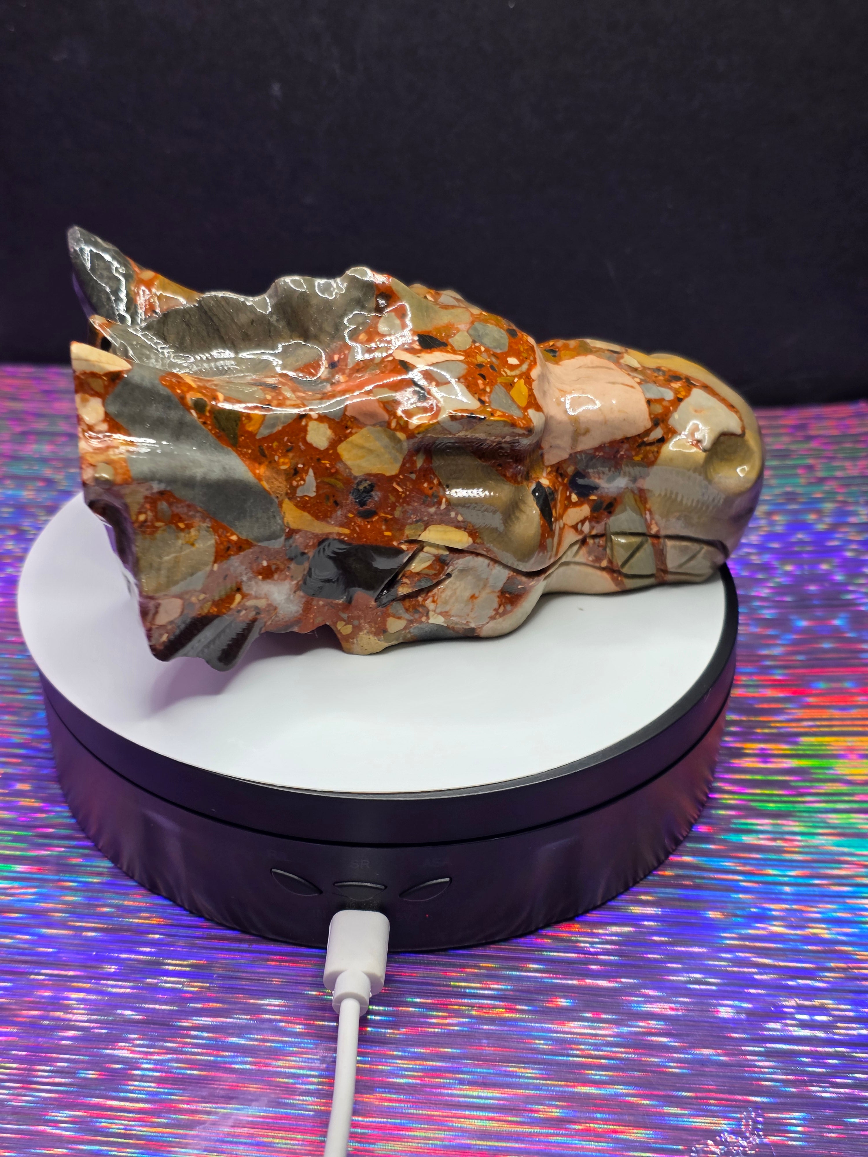 Fancy Jasper Dragon Head