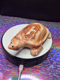 Red Vein Jasper Turtle