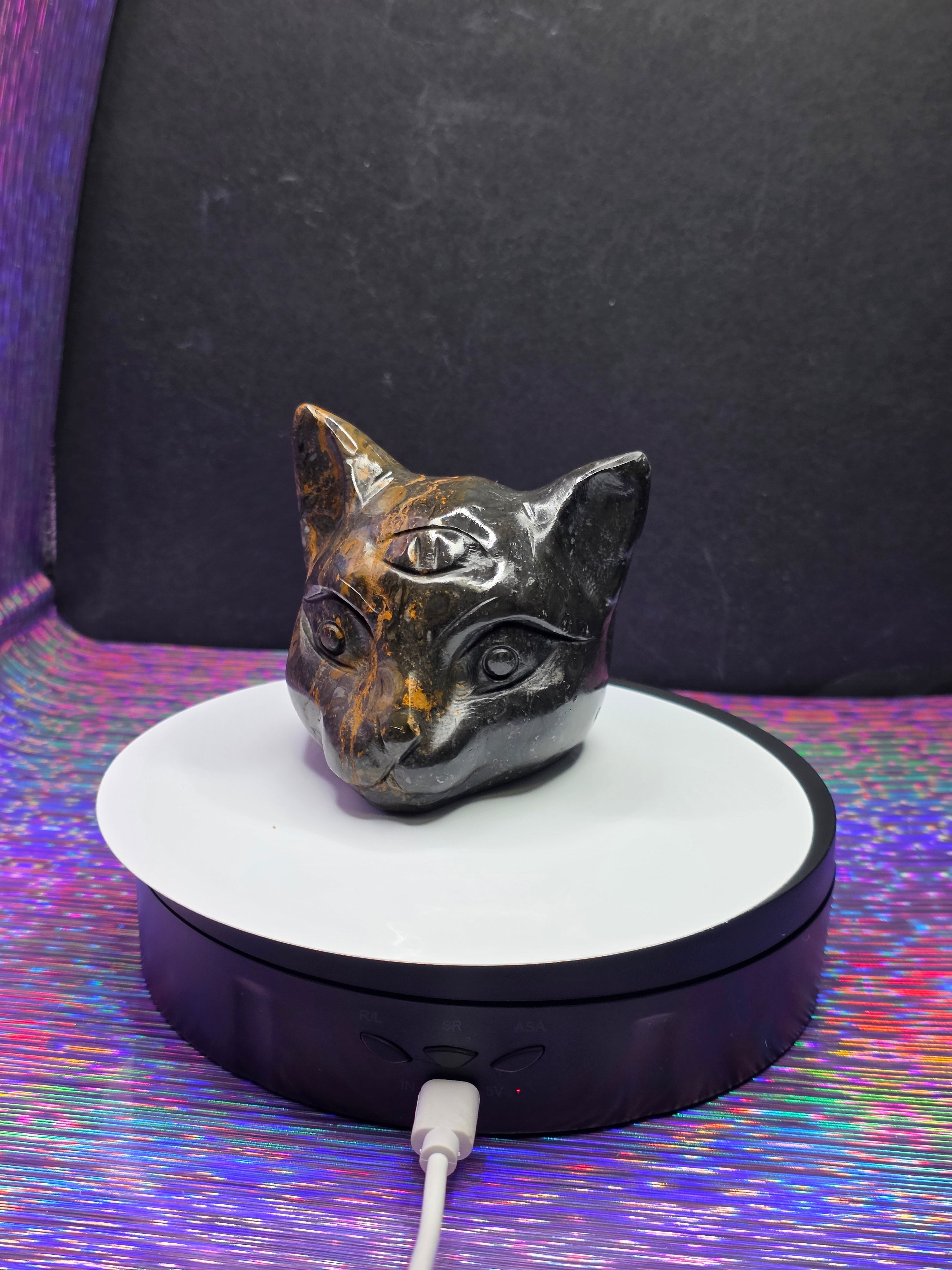 Jasper Calico Third Eye Cat