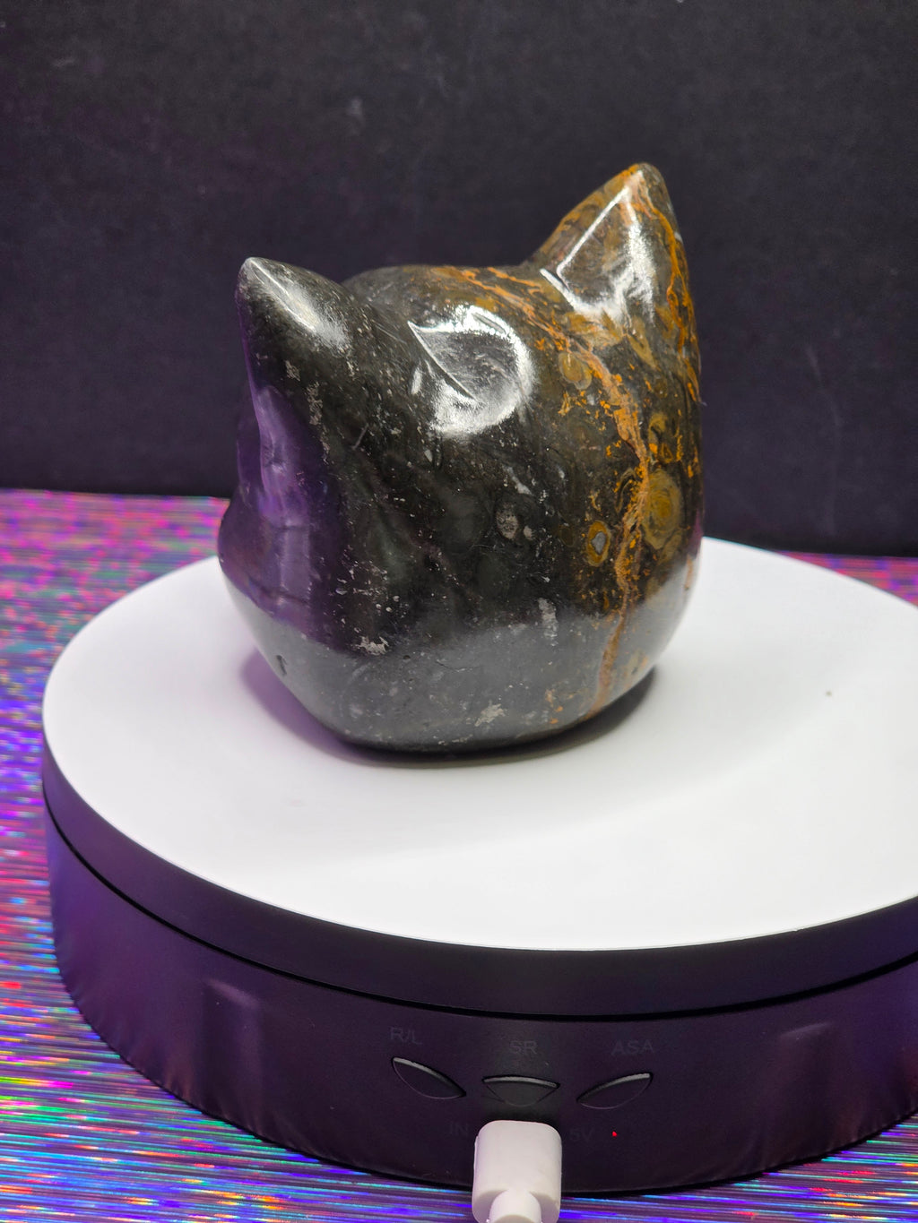 Jasper Calico Third Eye Cat