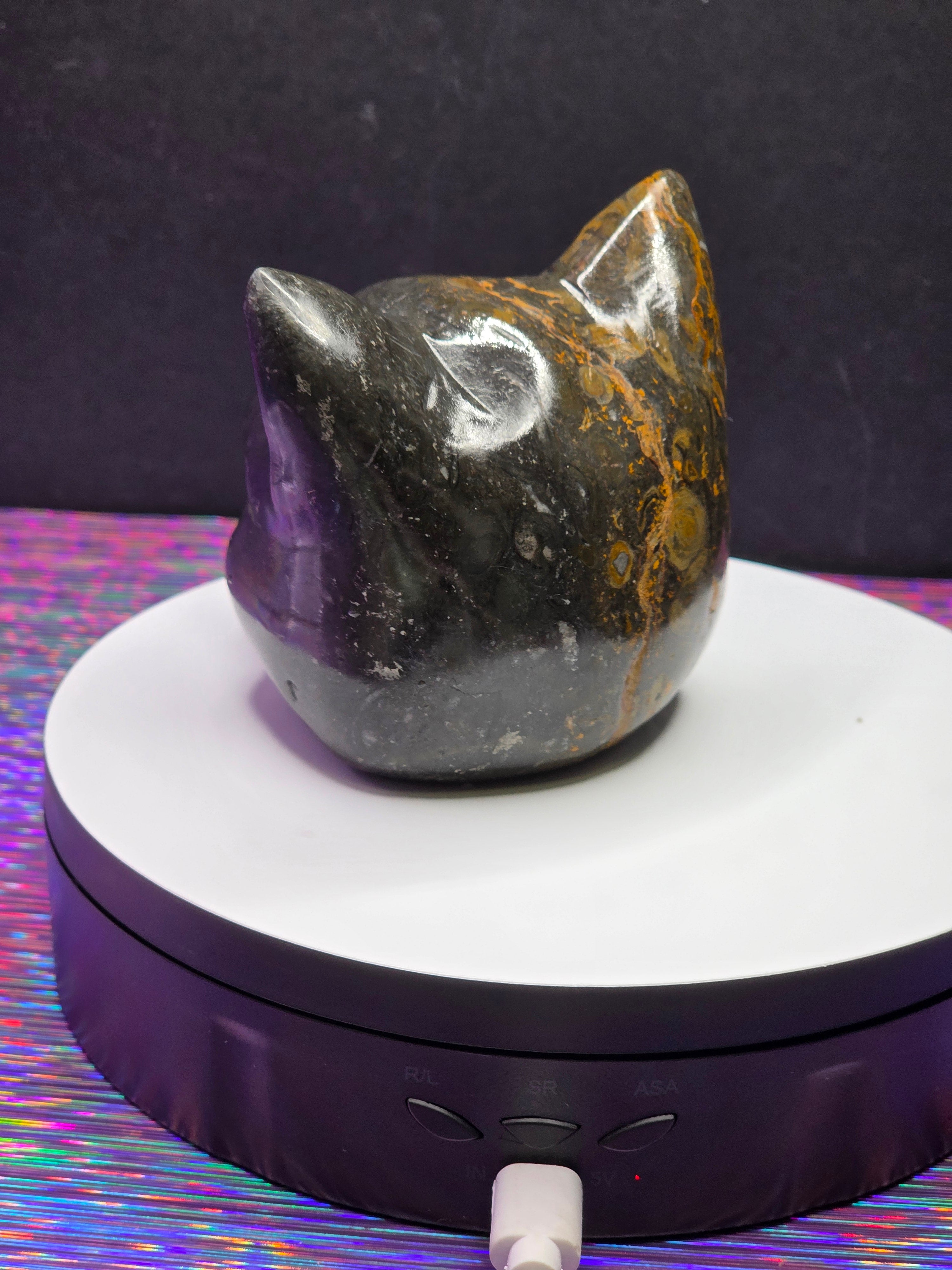 Jasper Calico Third Eye Cat
