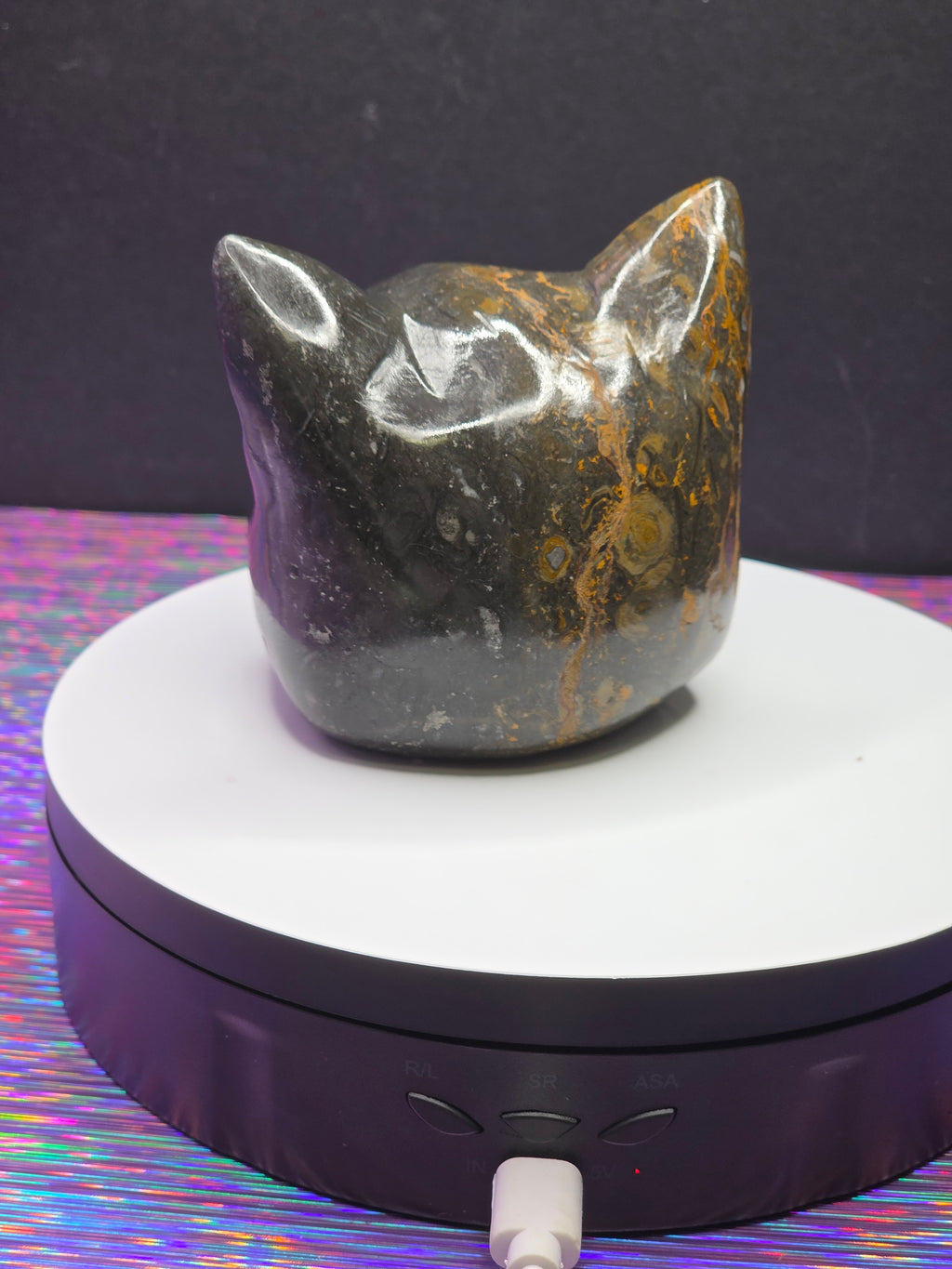 Jasper Calico Third Eye Cat
