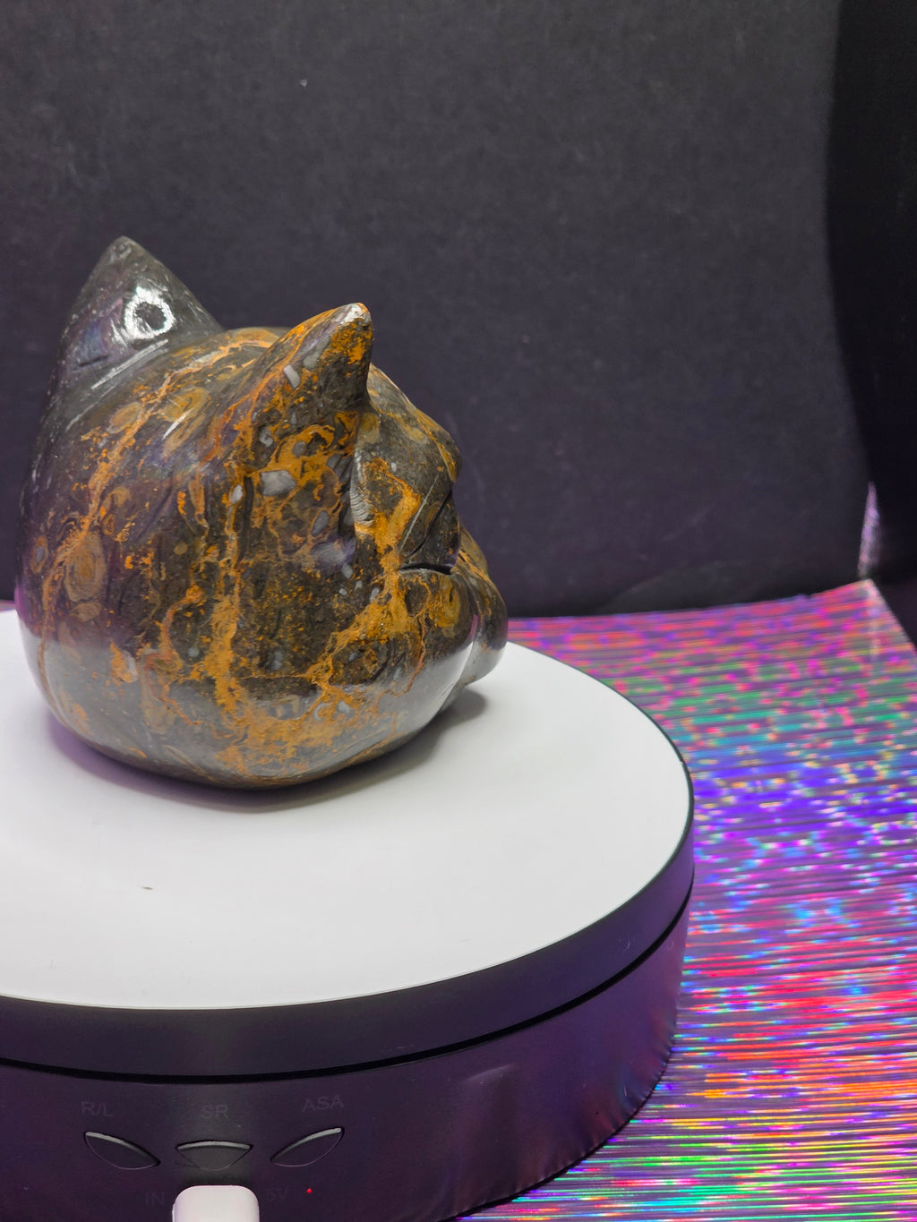 Jasper Calico Third Eye Cat