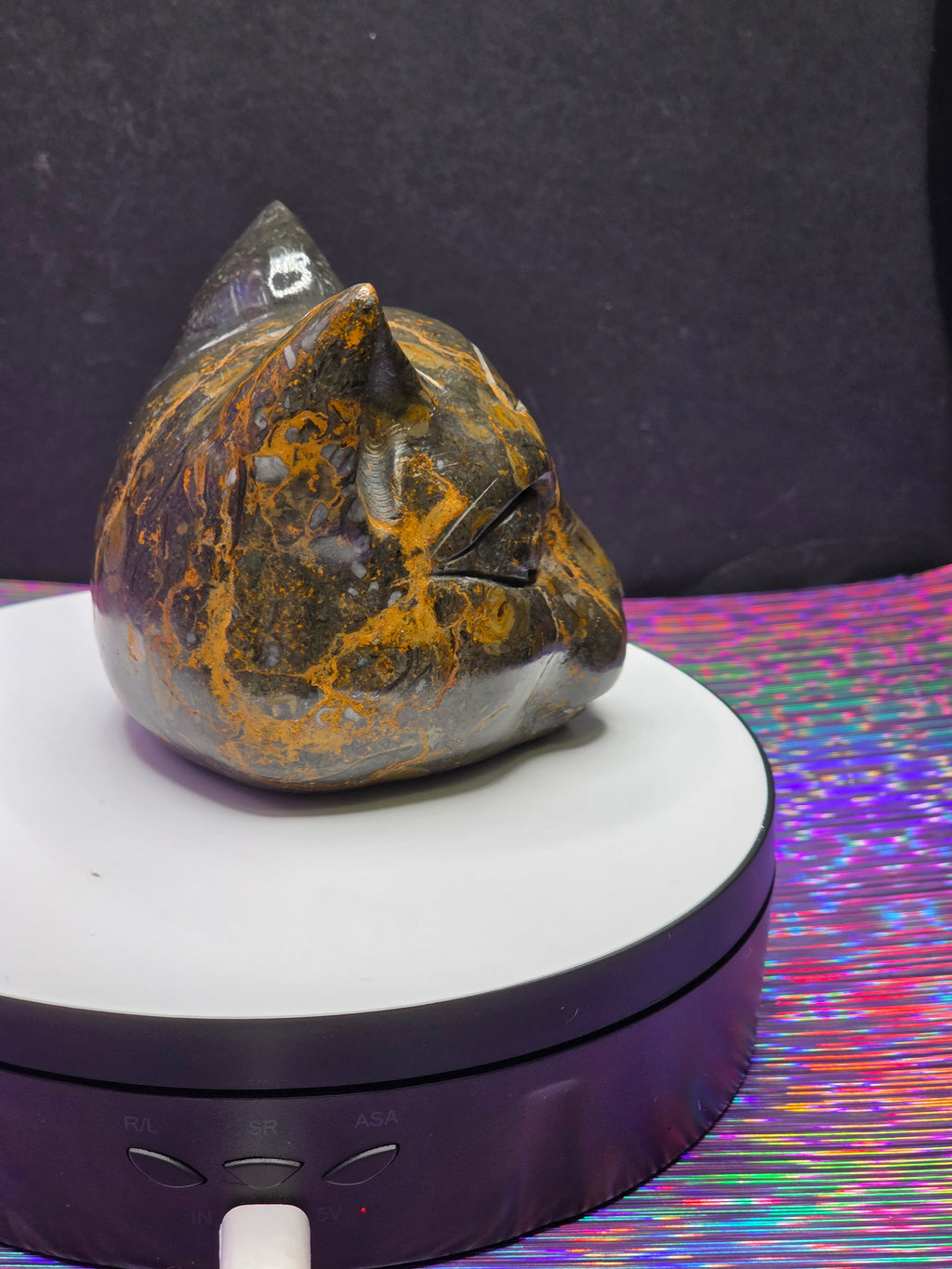Jasper Calico Third Eye Cat