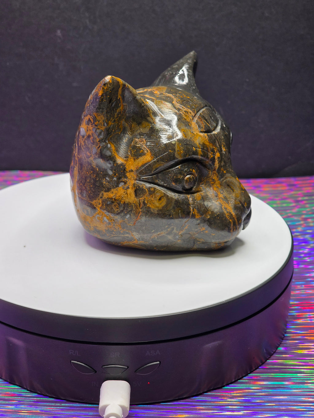 Jasper Calico Third Eye Cat