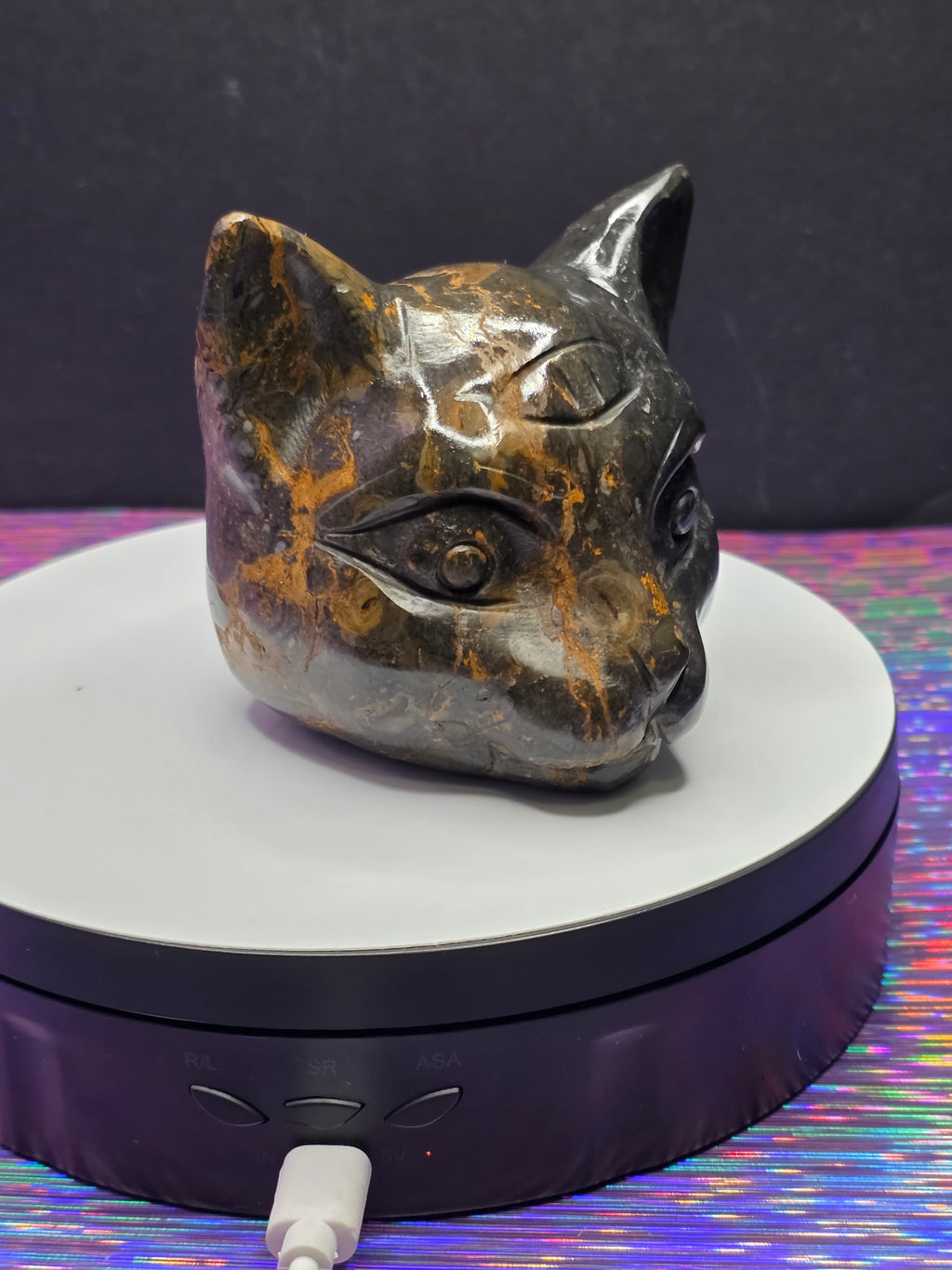 Jasper Calico Third Eye Cat