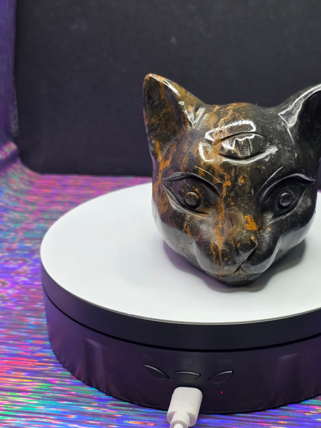 Jasper Calico Third Eye Cat