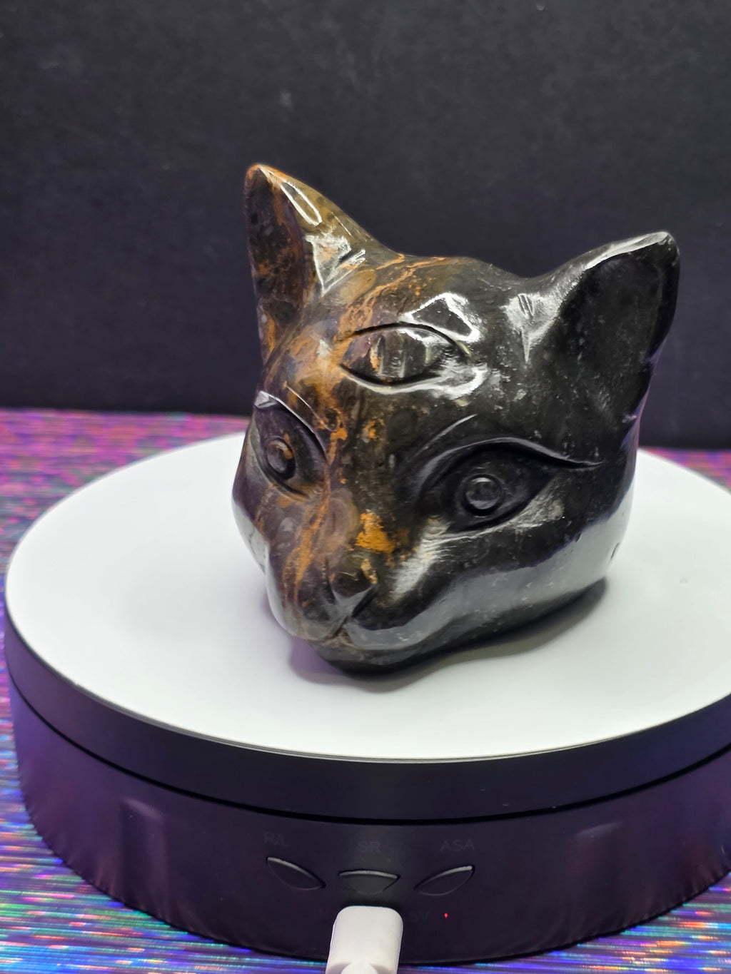 Jasper Calico Third Eye Cat
