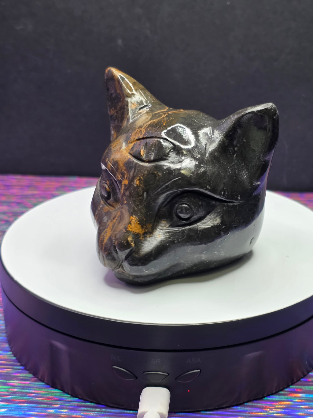 Jasper Calico Third Eye Cat