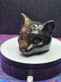 Jasper Calico Third Eye Cat