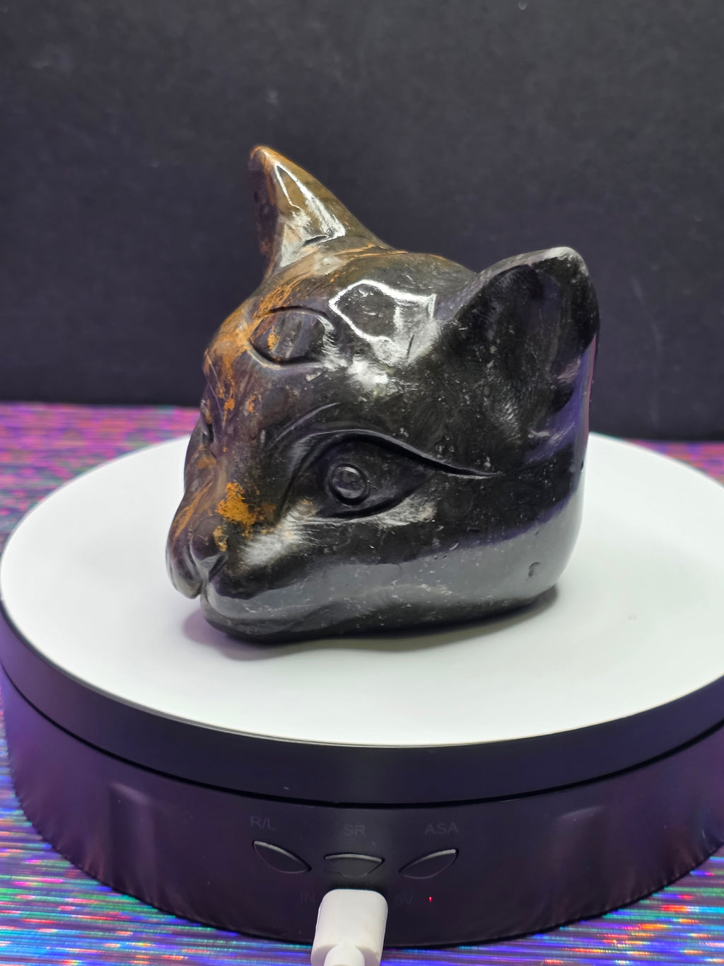 Jasper Calico Third Eye Cat
