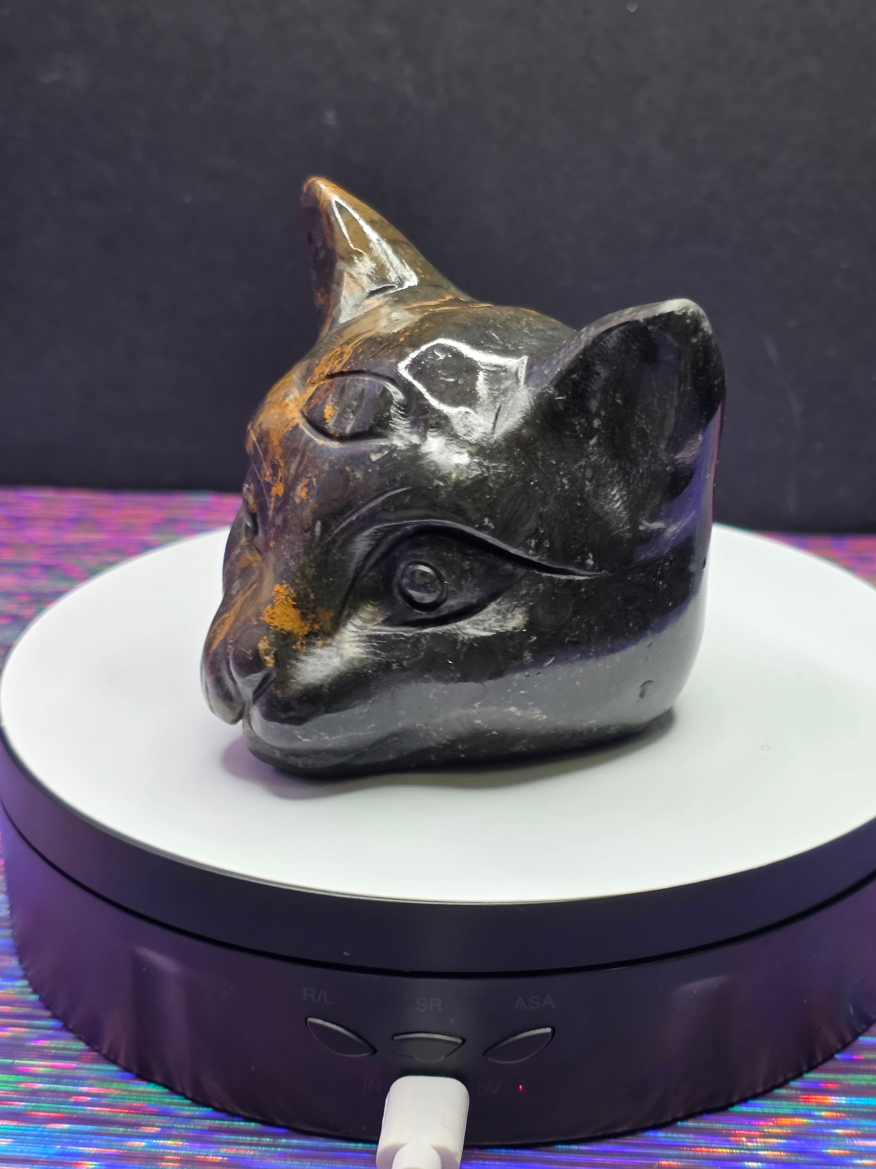 Jasper Calico Third Eye Cat