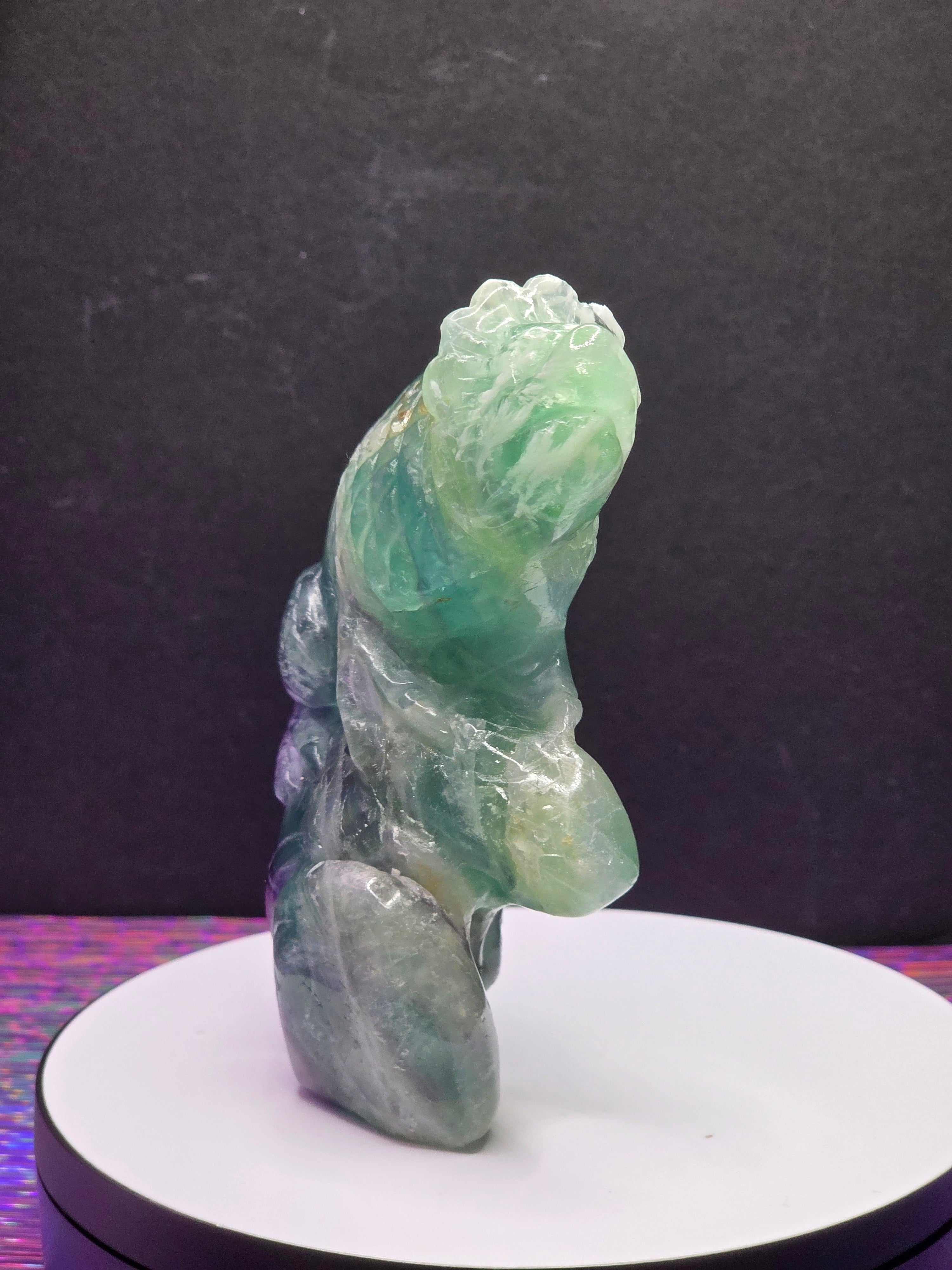 Feather Fluorite Lizard
