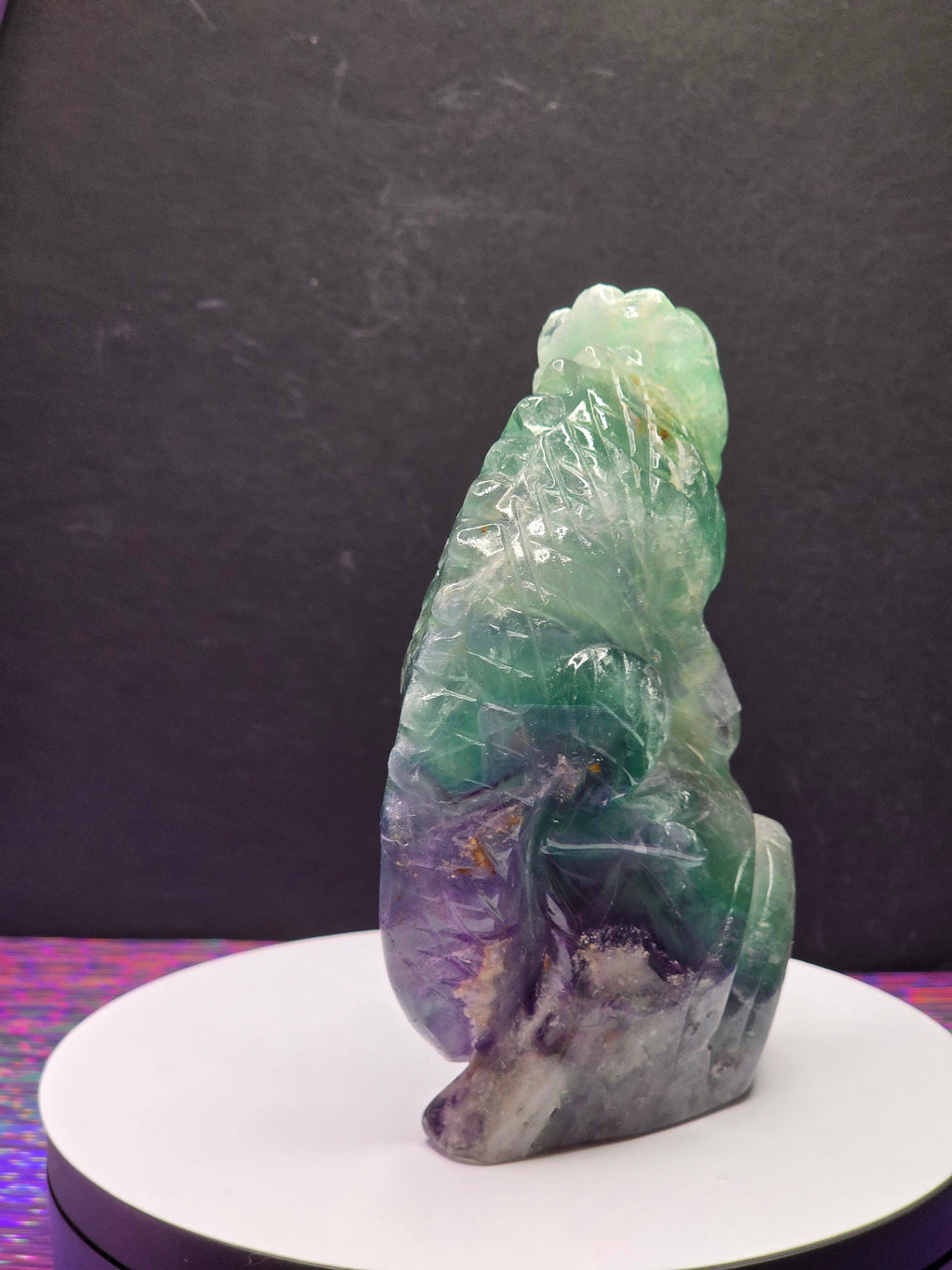 Feather Fluorite Lizard
