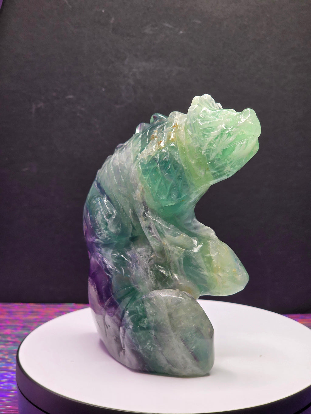 Feather Fluorite Lizard