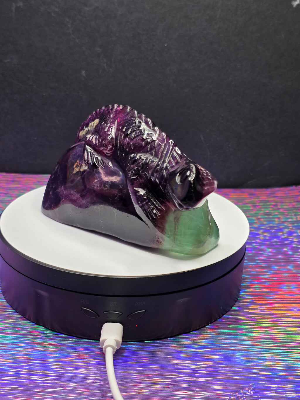 Purple Fluorite Lizard