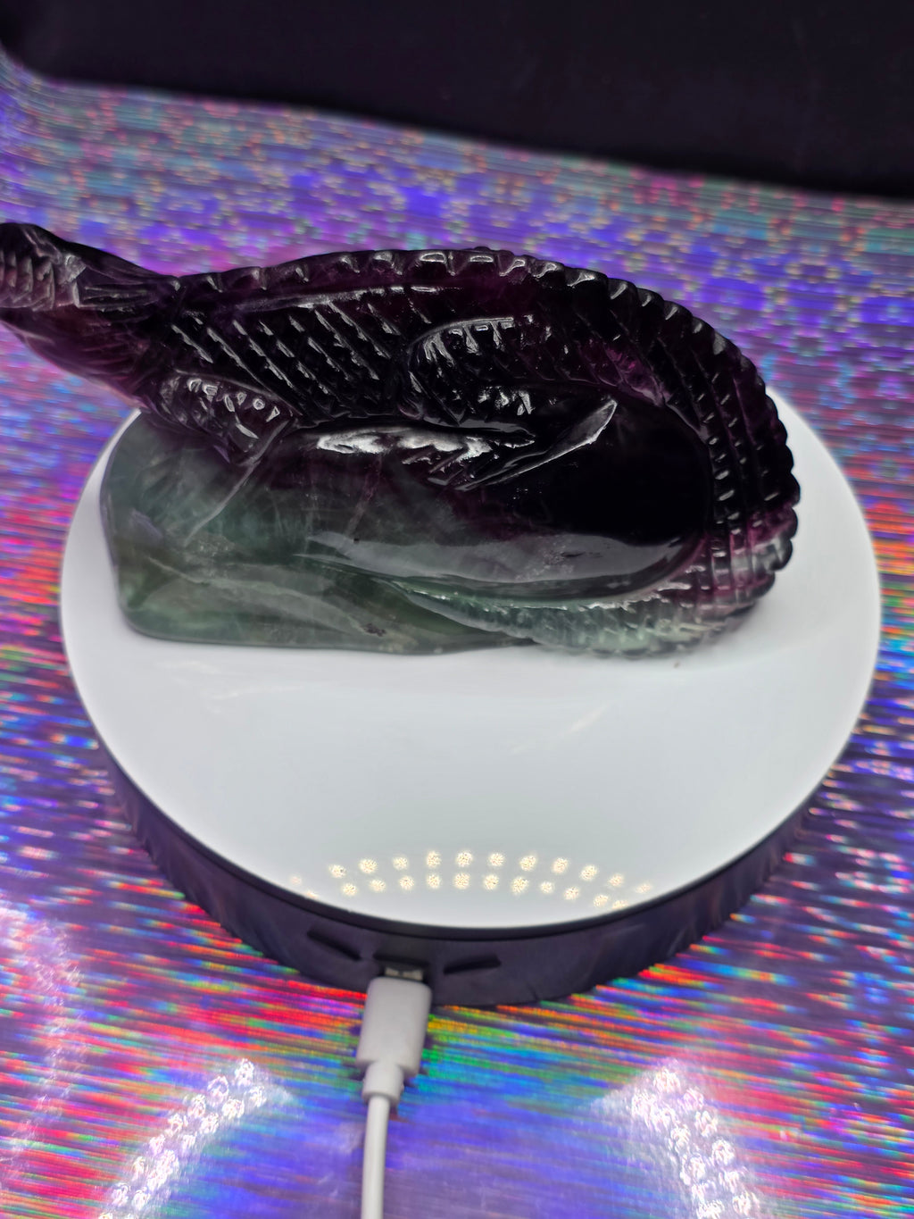 Purple Fluorite Lizard