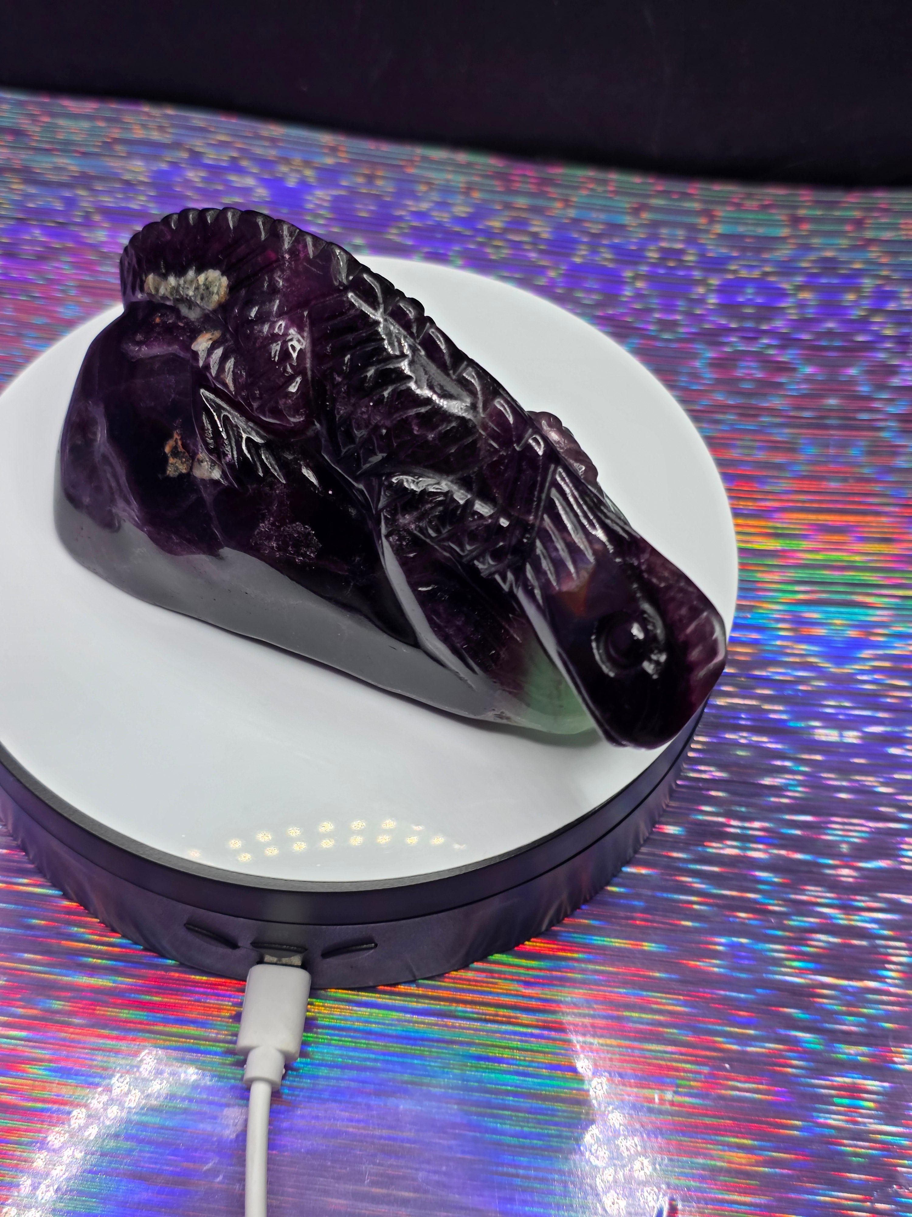 Purple Fluorite Lizard