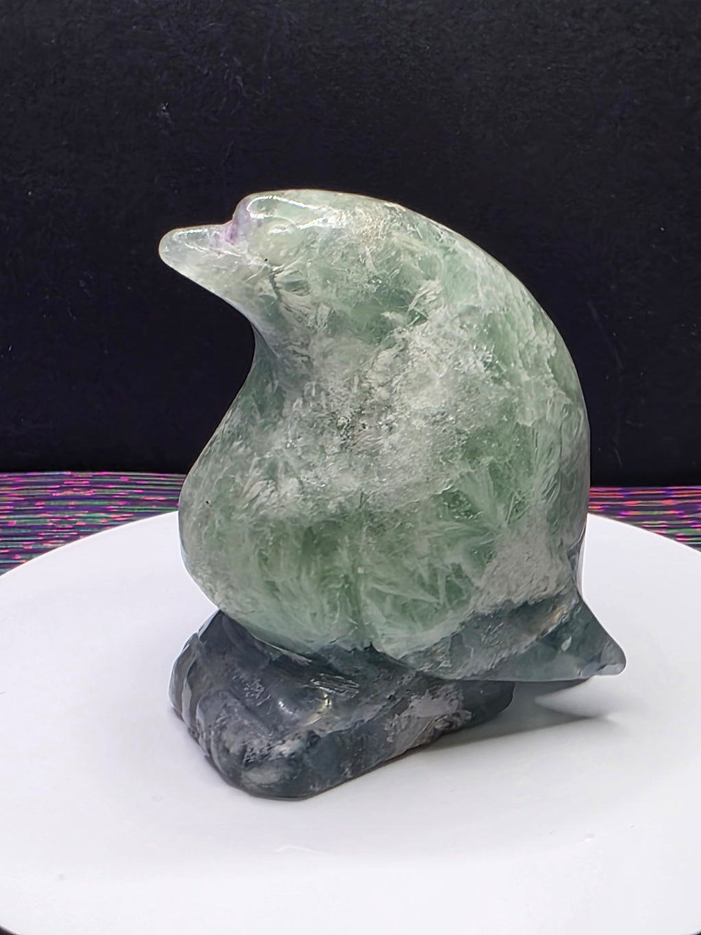 Stunning Feather Fluorite Penguin