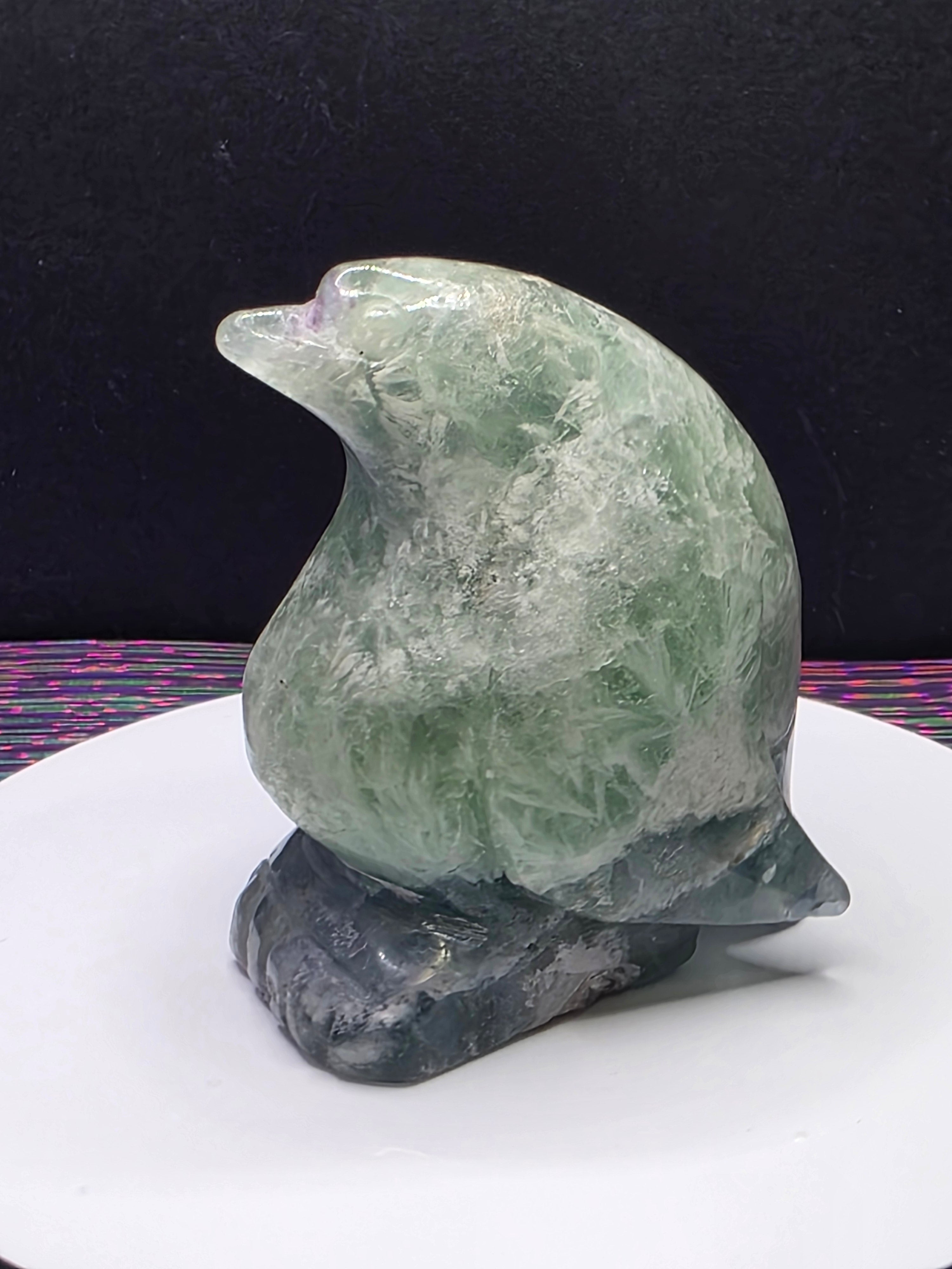 Stunning Feather Fluorite Penguin