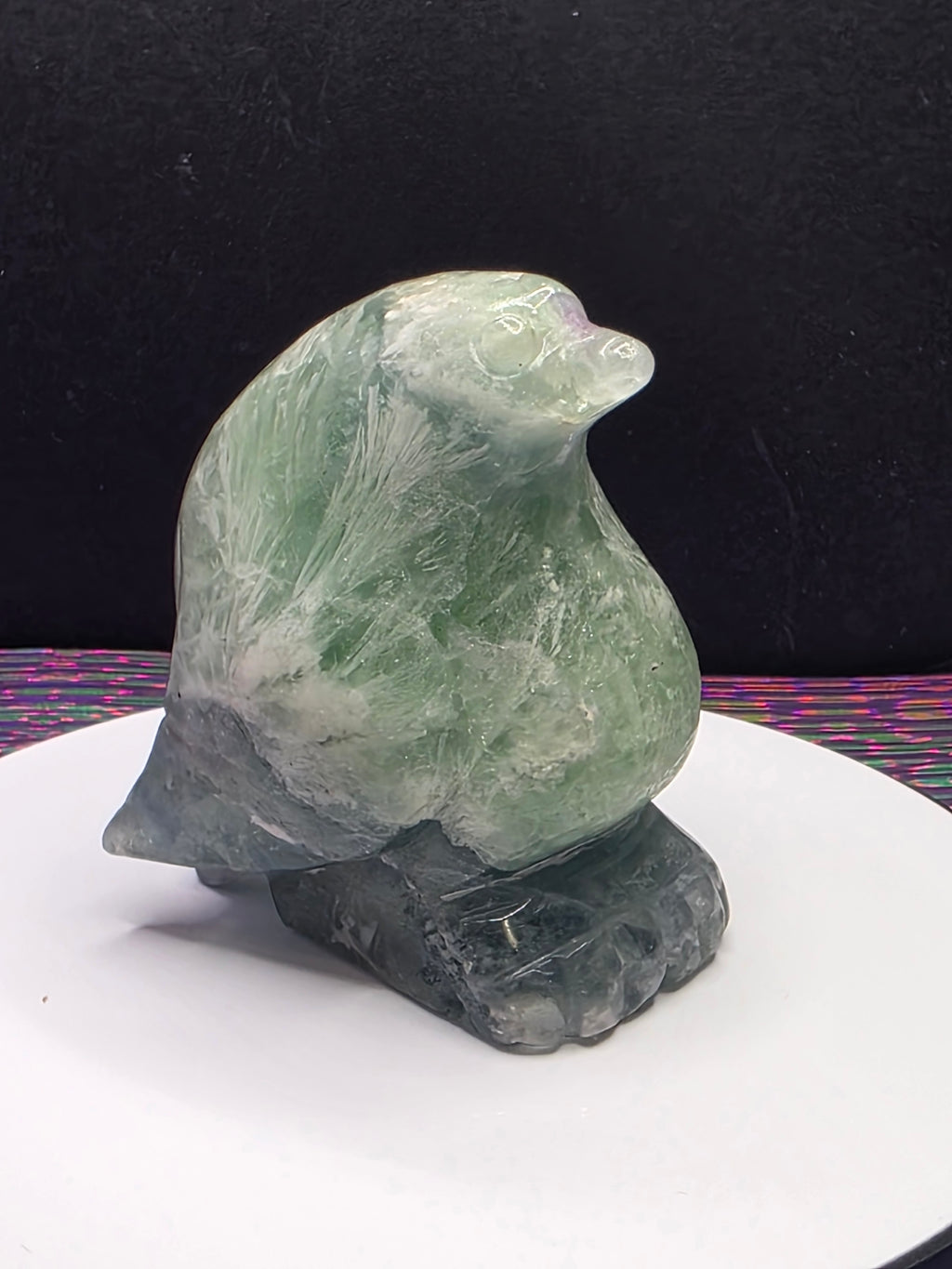 Stunning Feather Fluorite Penguin