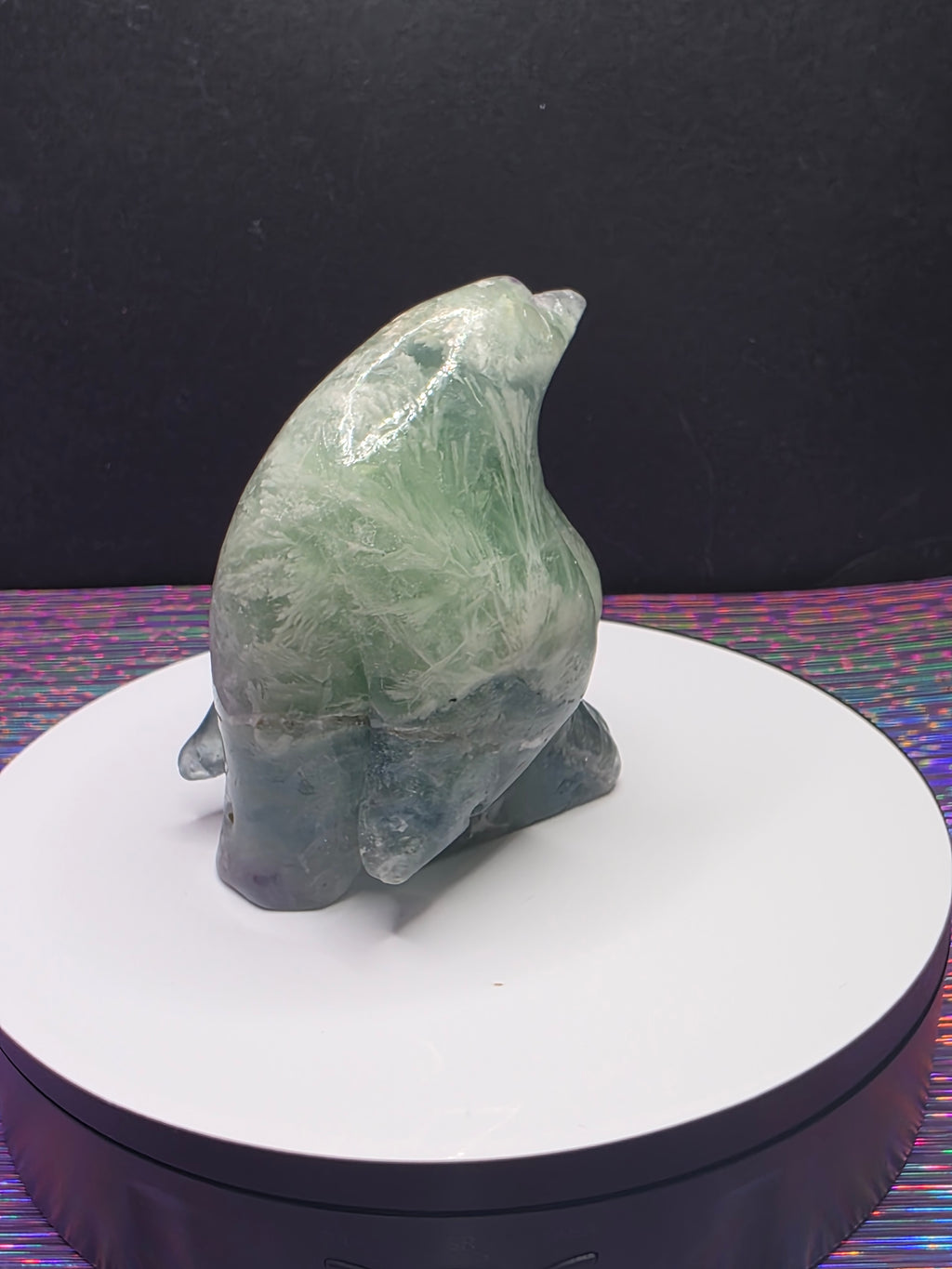 Stunning Feather Fluorite Penguin