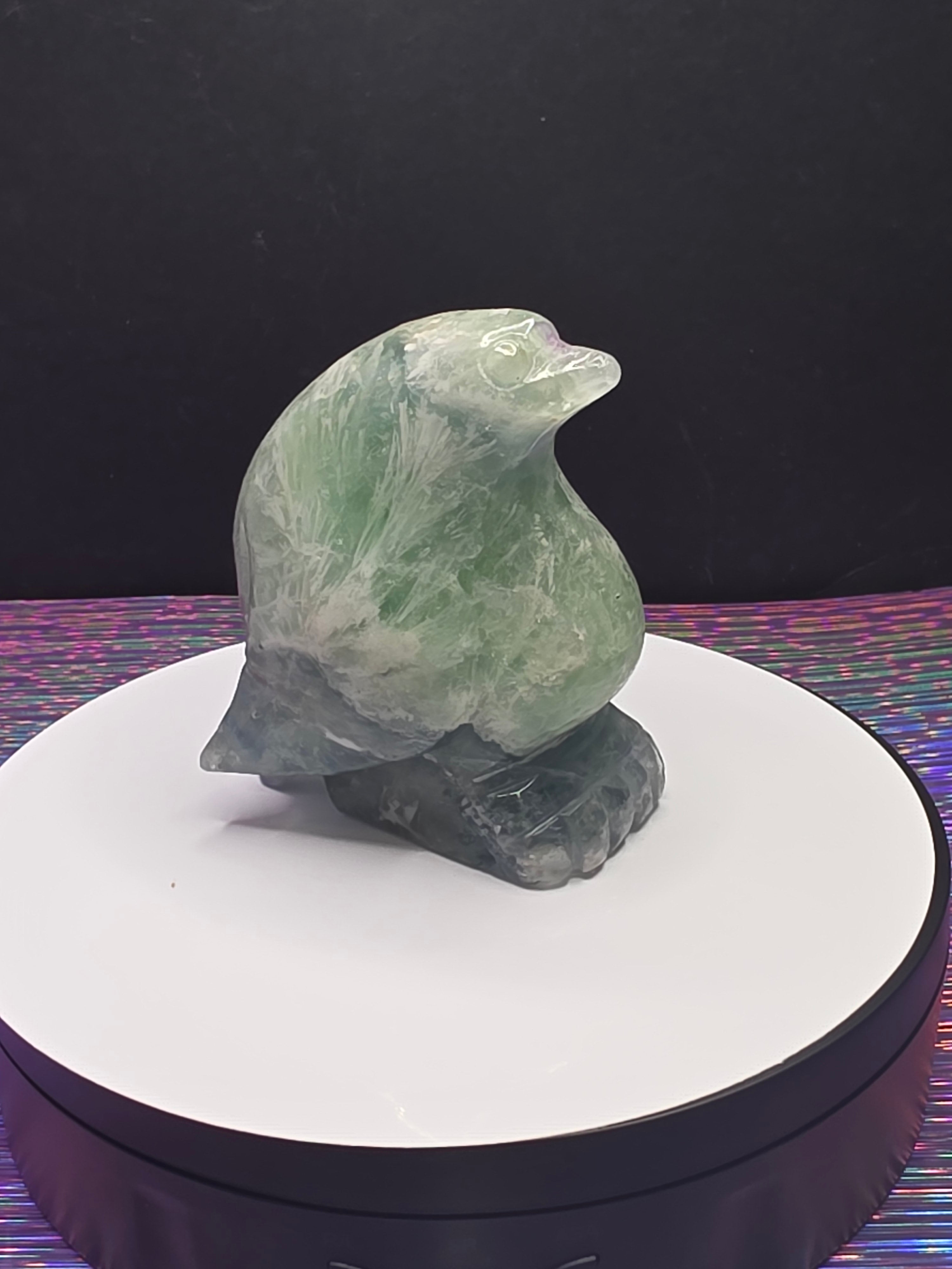 Stunning Feather Fluorite Penguin