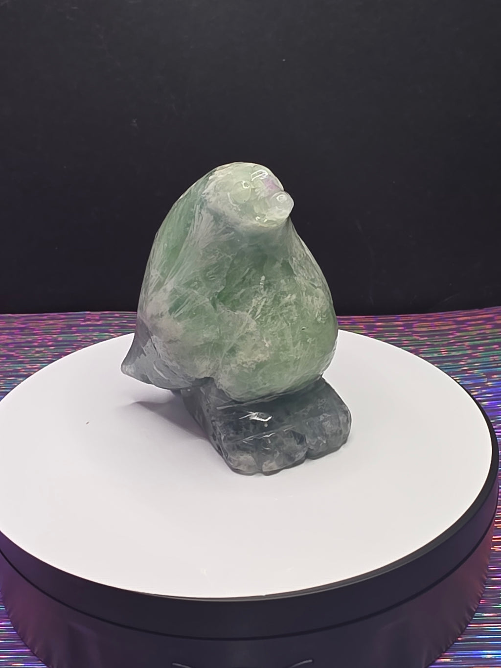 Stunning Feather Fluorite Penguin