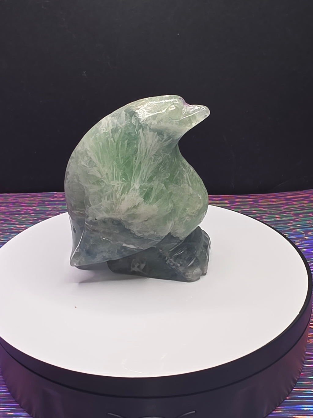 Stunning Feather Fluorite Penguin
