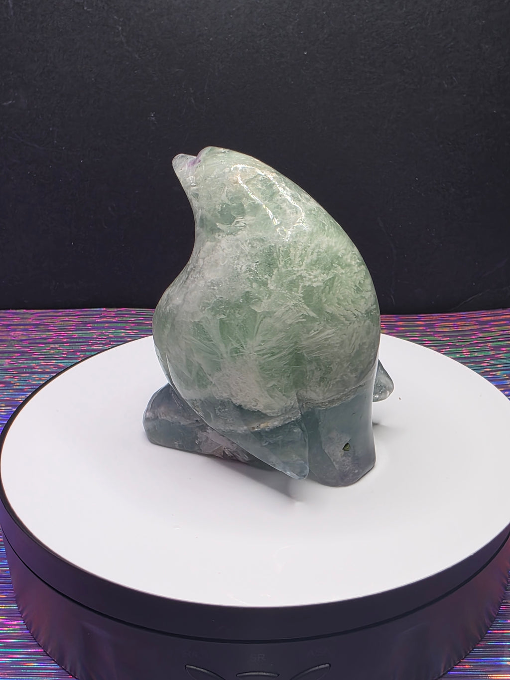 Stunning Feather Fluorite Penguin