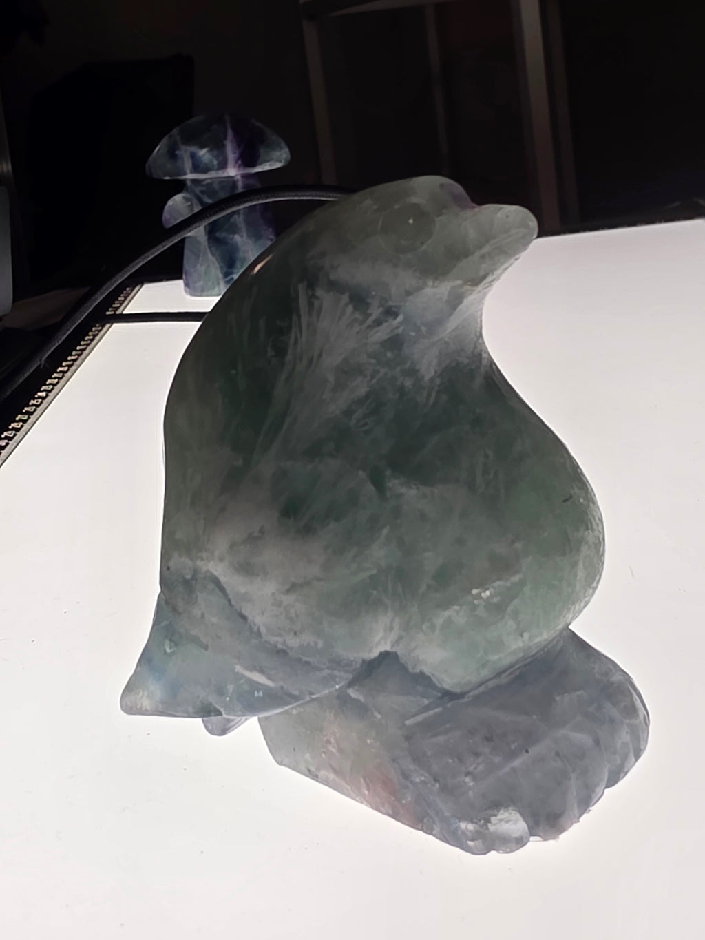Stunning Feather Fluorite Penguin