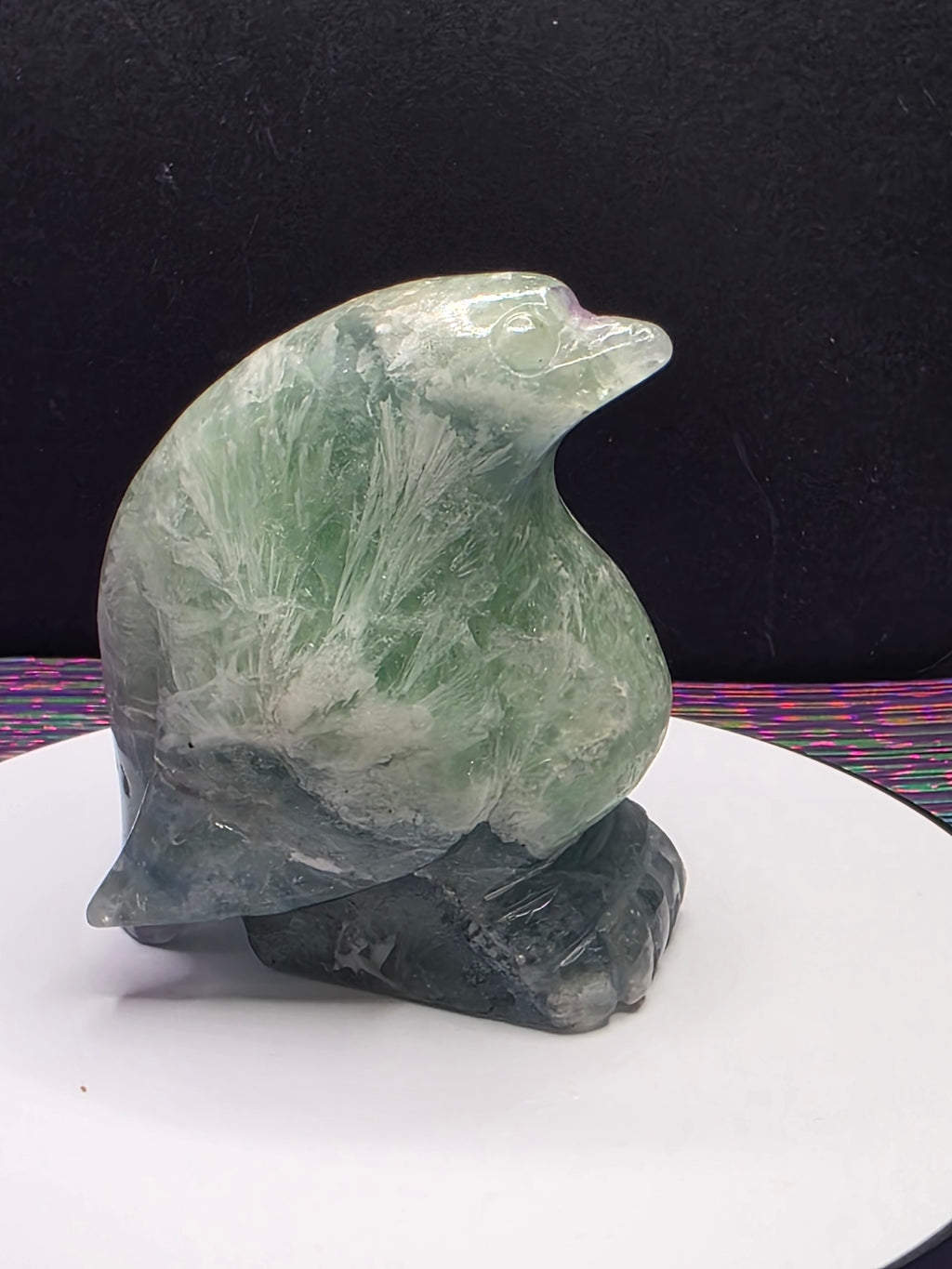 Stunning Feather Fluorite Penguin