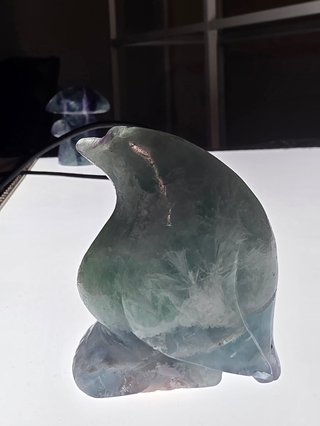 Stunning Feather Fluorite Penguin