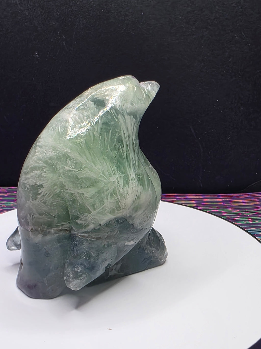 Stunning Feather Fluorite Penguin