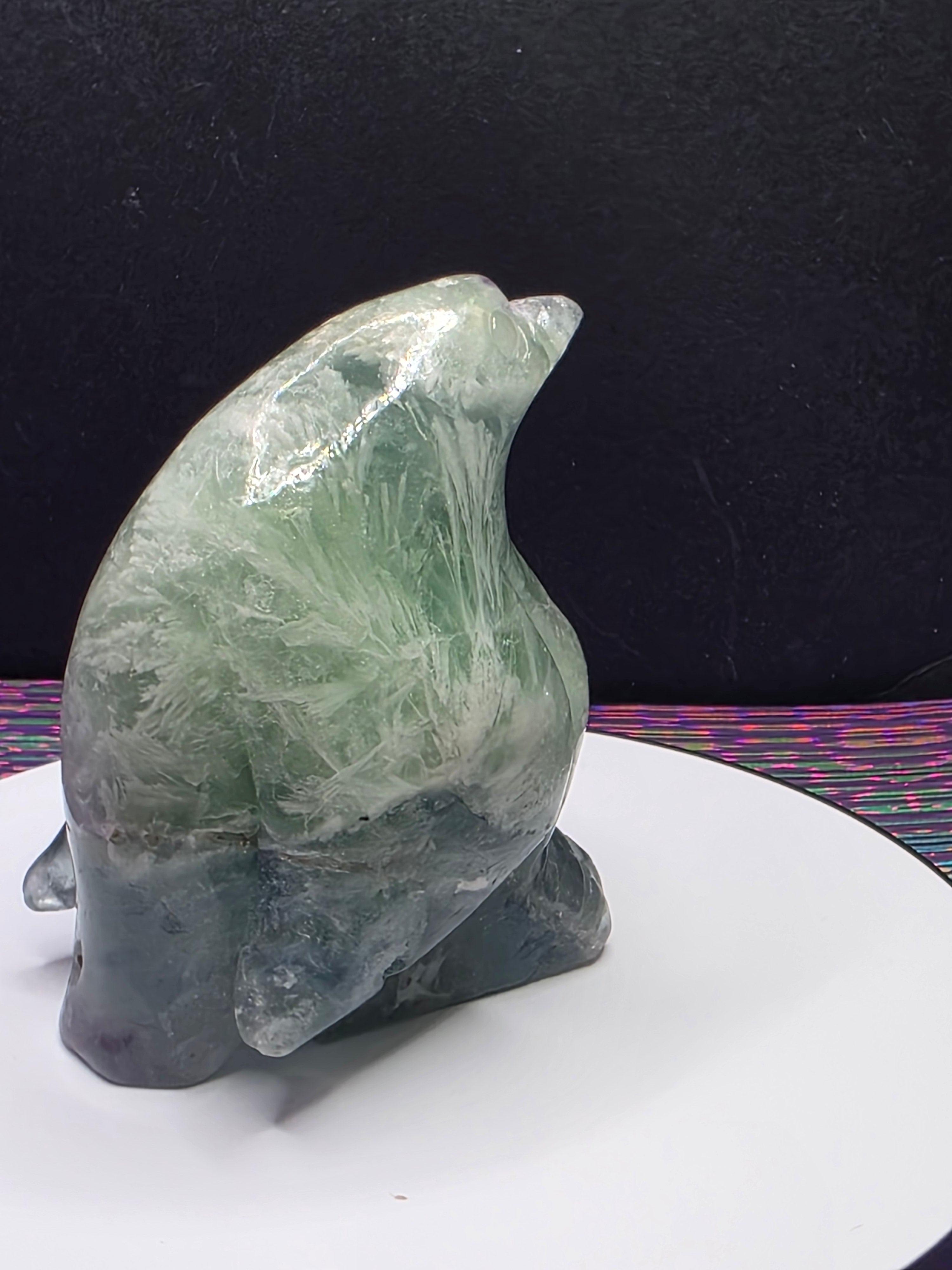 Stunning Feather Fluorite Penguin