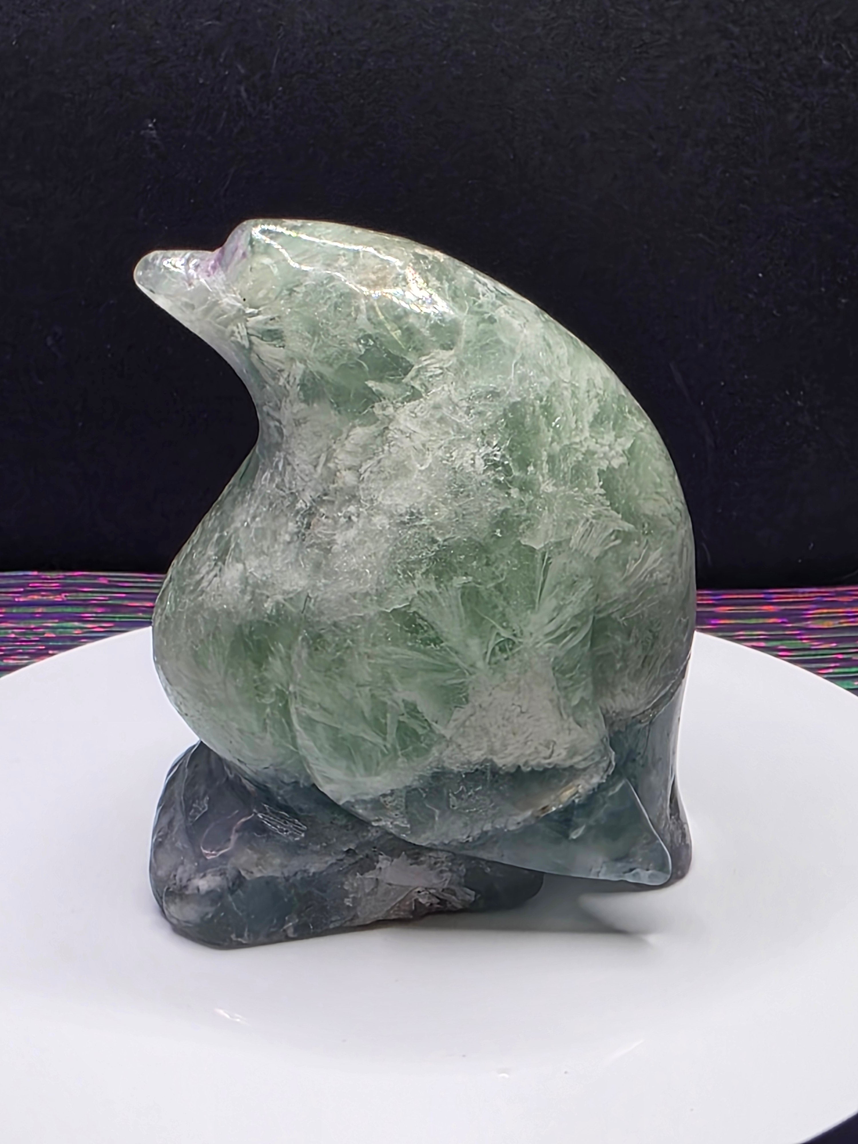 Stunning Feather Fluorite Penguin