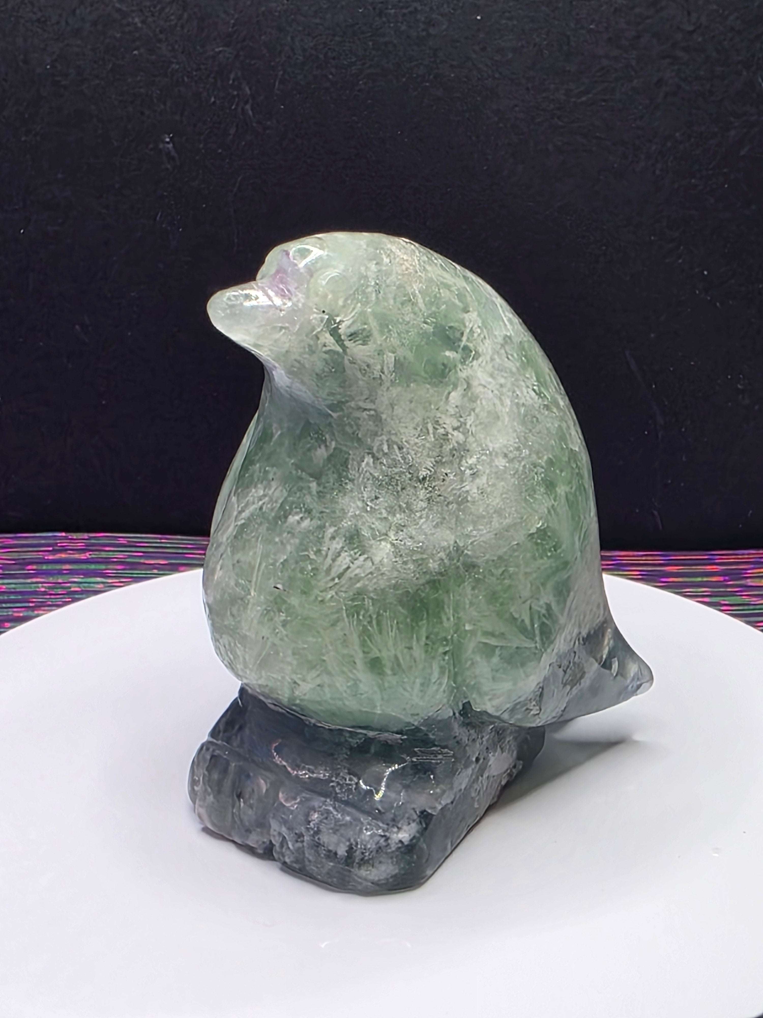 Stunning Feather Fluorite Penguin