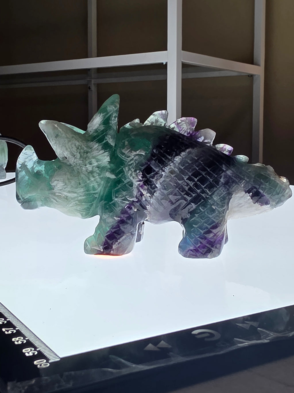 Feather Fluorite Triceratops