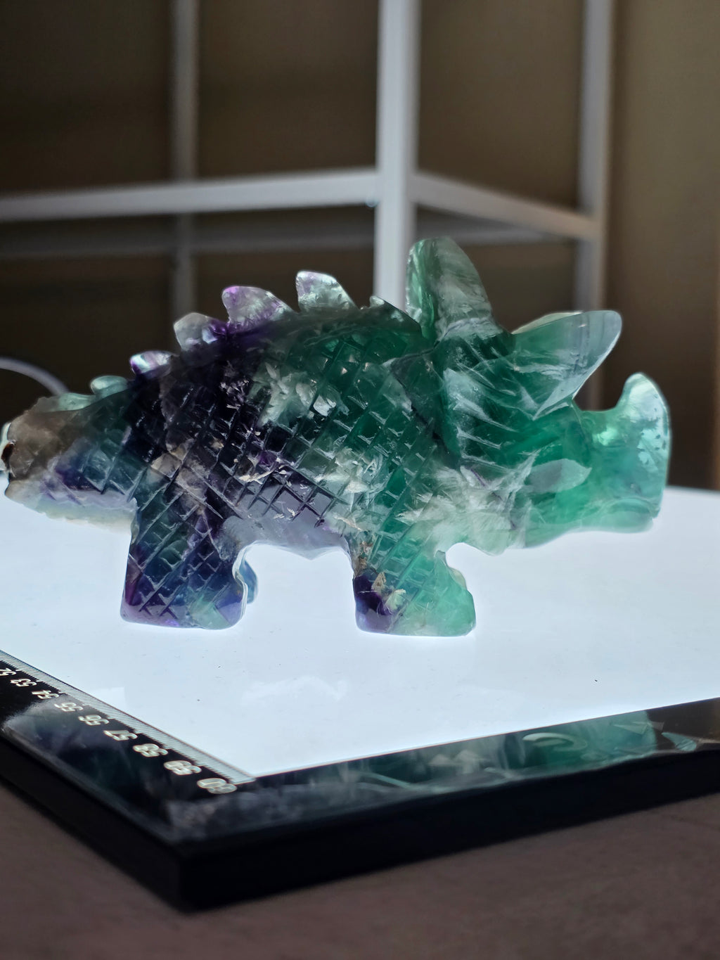 Feather Fluorite Triceratops